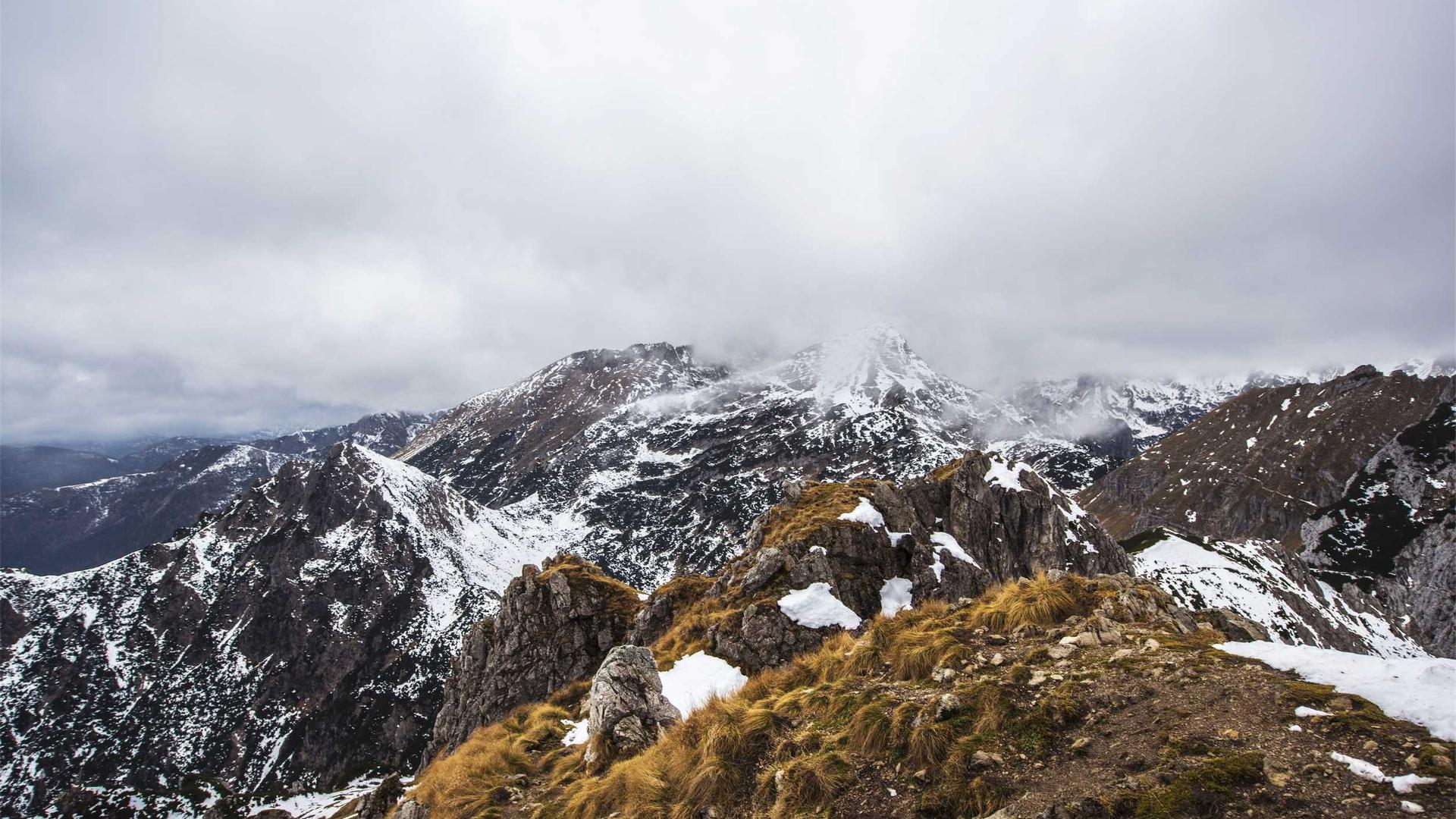 Random image from Lorem Picsum