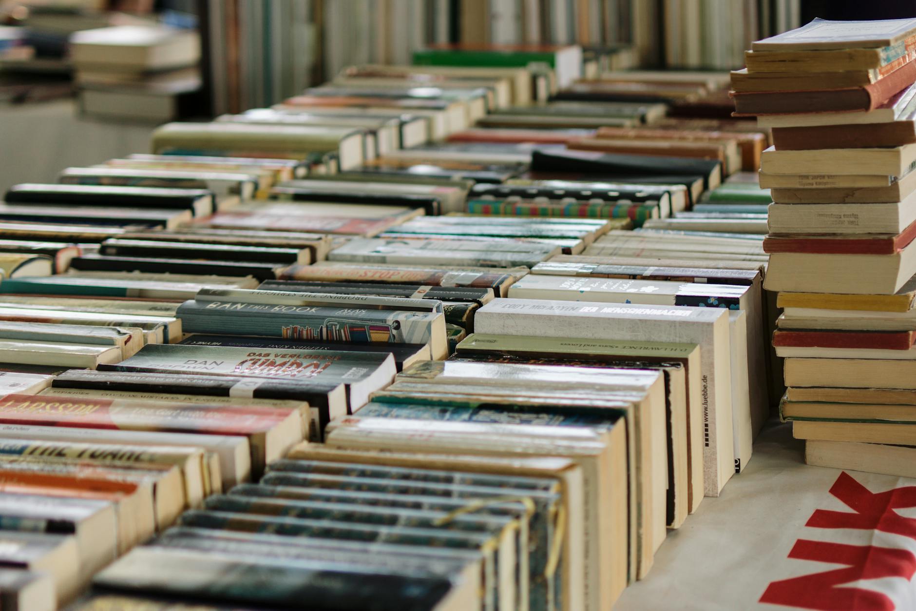 Wide view of numerous books neatly arranged at a book market, showcasing variety and abundance.