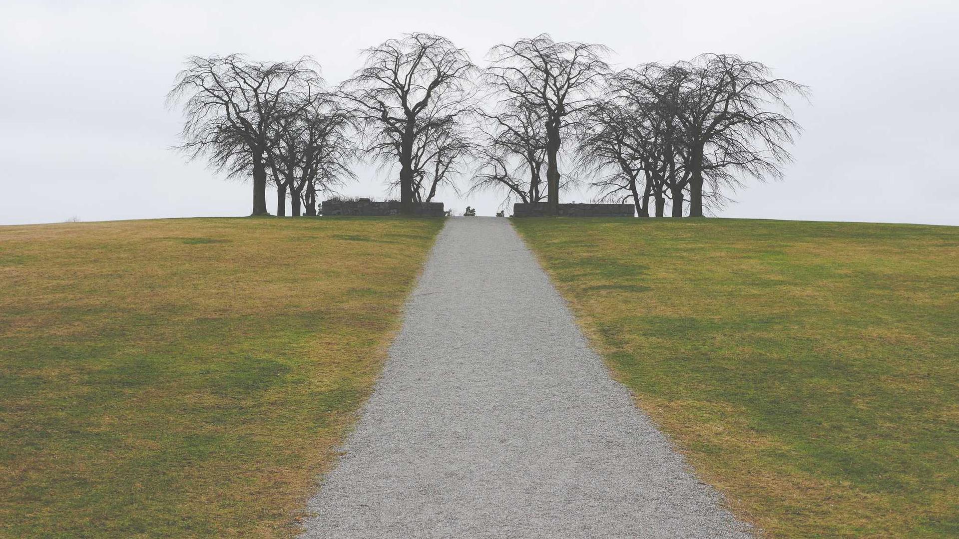 Random image from Lorem Picsum