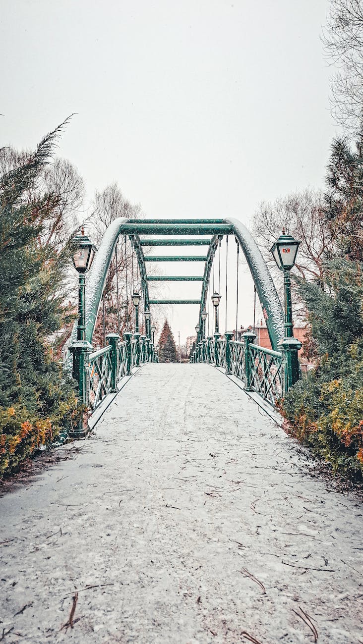 A picturesque snow-covered bridge surrounded by winter foliage, evoking a serene winter wonderland scene.