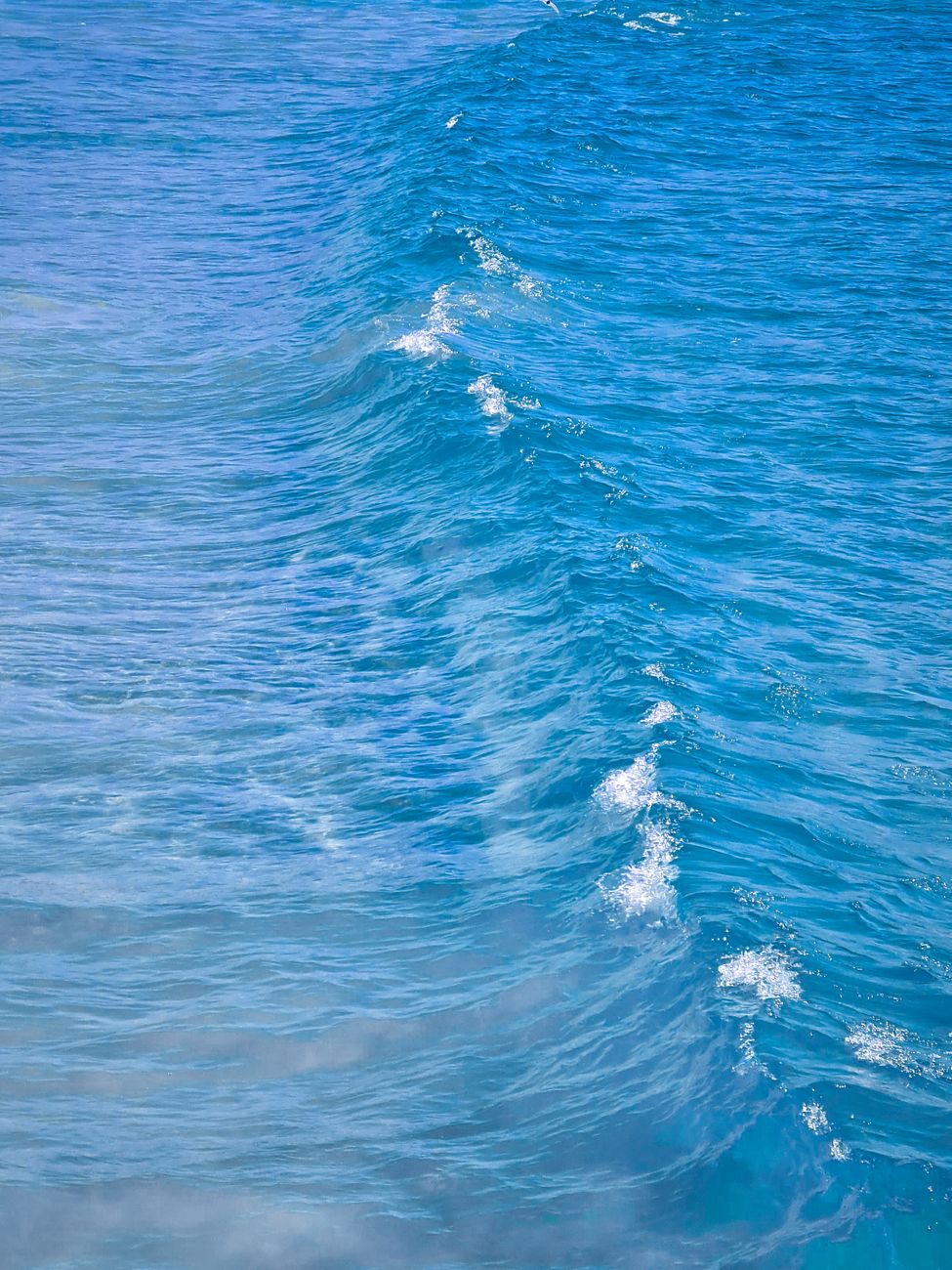 Close-up view of a mesmerizing blue ocean wave, capturing the natural beauty of the sea.