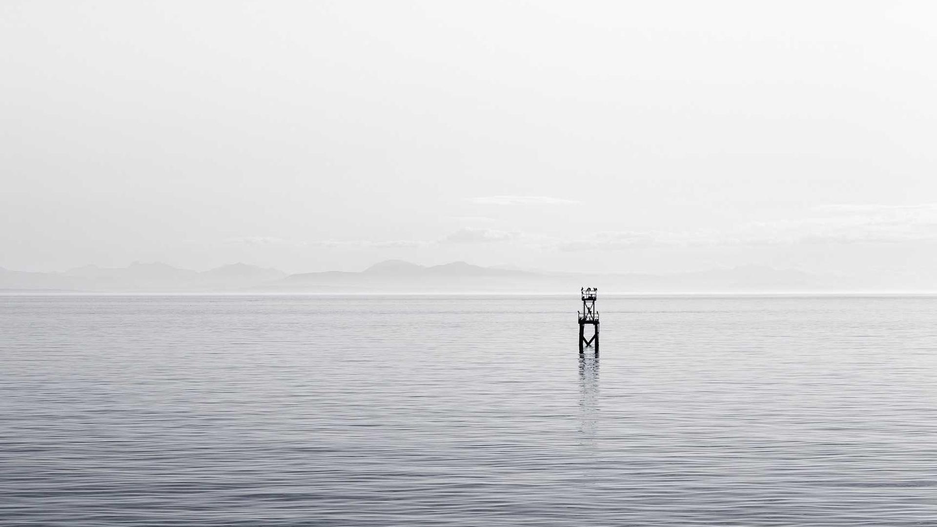 Random image from Lorem Picsum