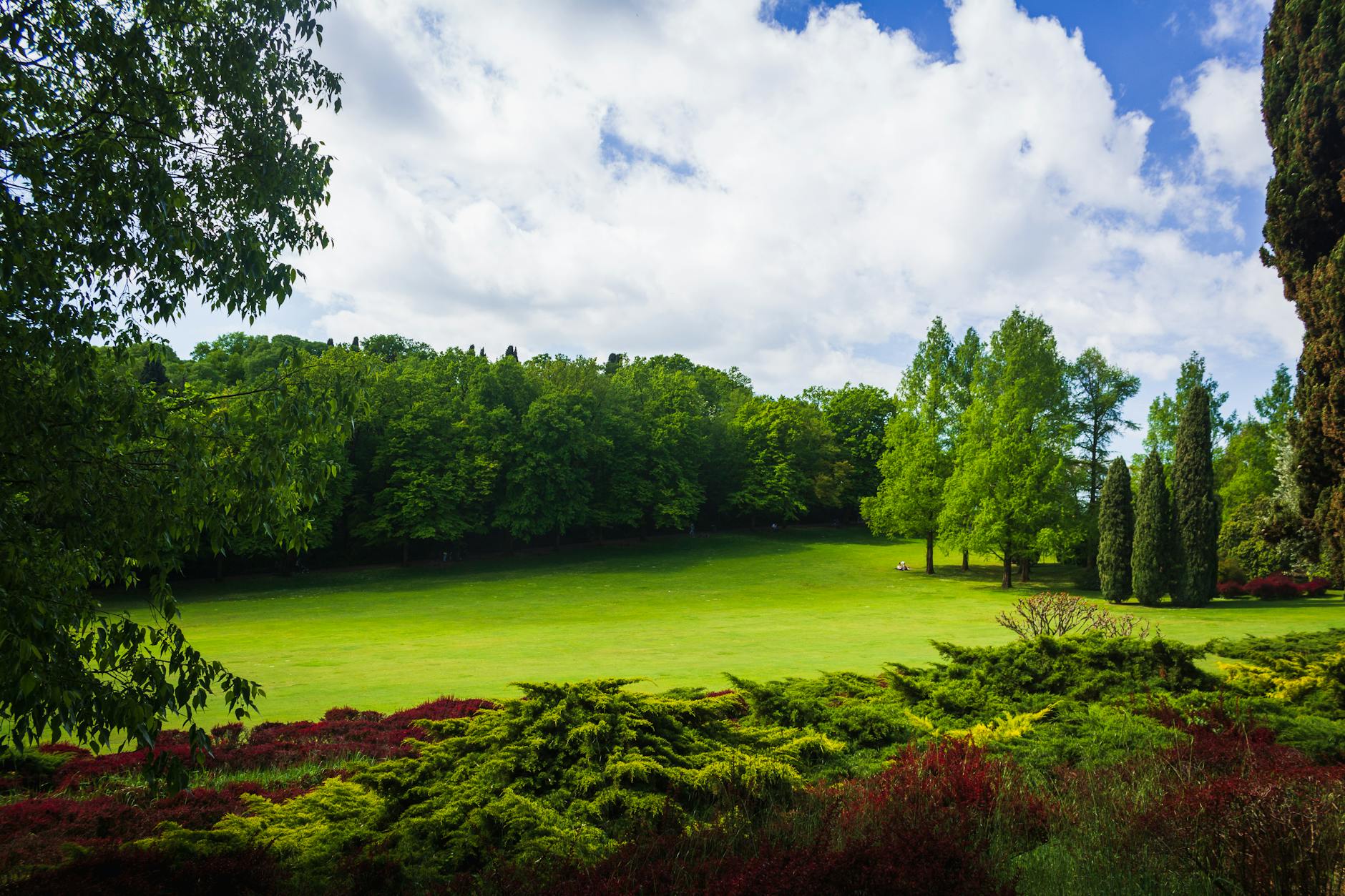 Vibrant park scene with lush greenery and a cloudy blue sky in Valeggio sul Mincio, Veneto, Italy.