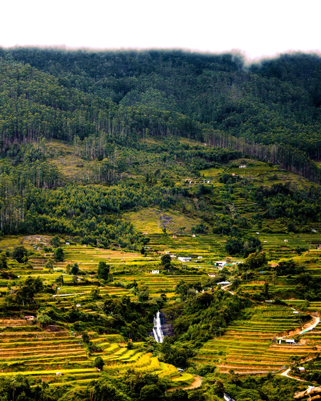 Scenic view of lush green terraced fields and waterfall nestled in a forested mountain region.