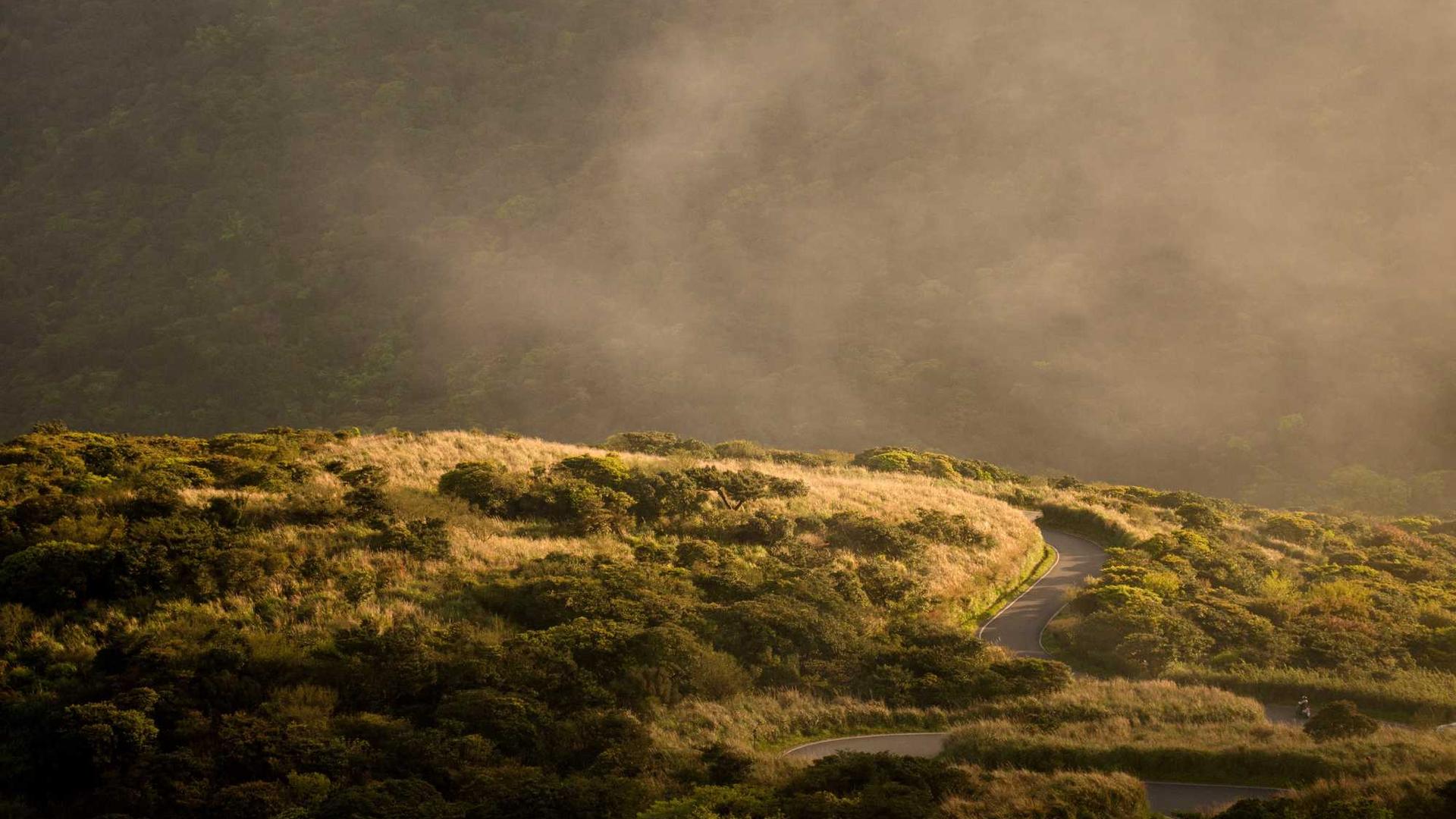 Random image from Lorem Picsum