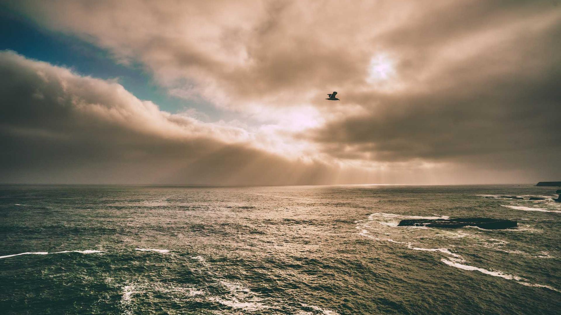 Random image from Lorem Picsum