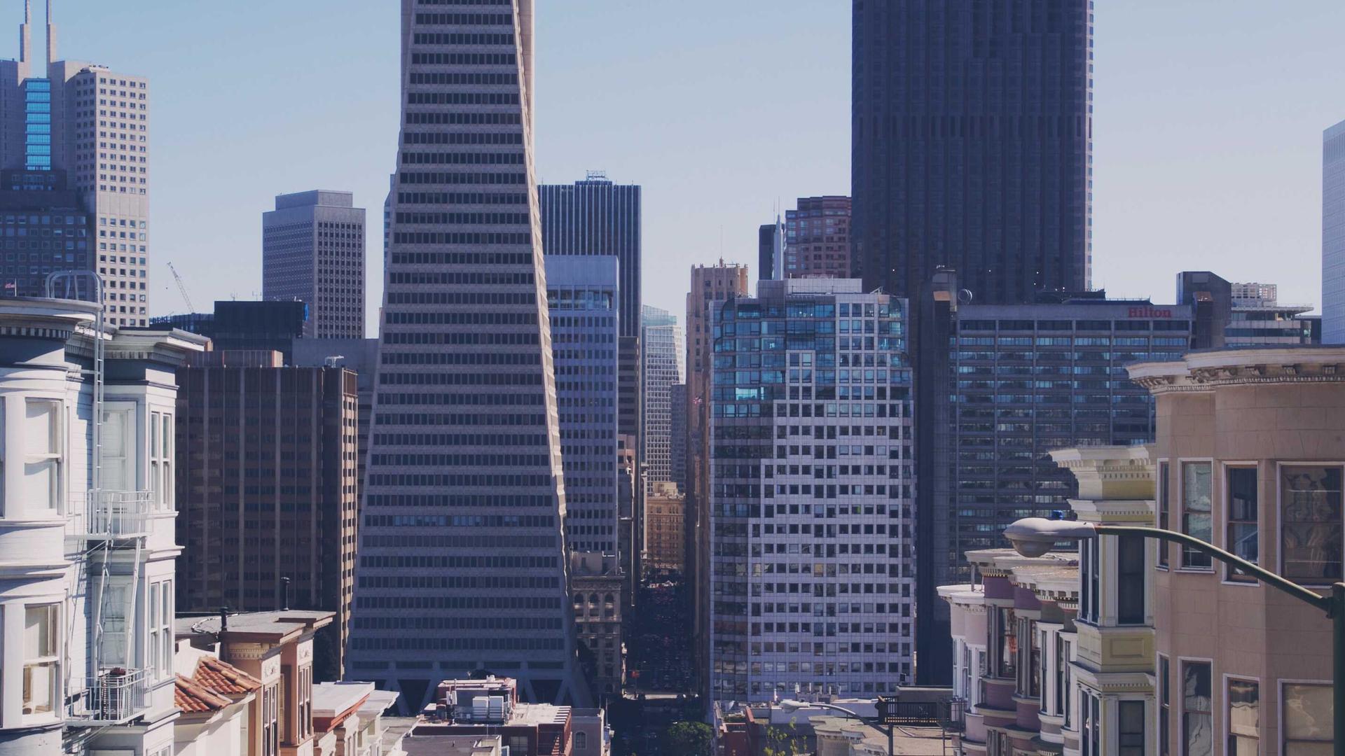 Random image from Lorem Picsum