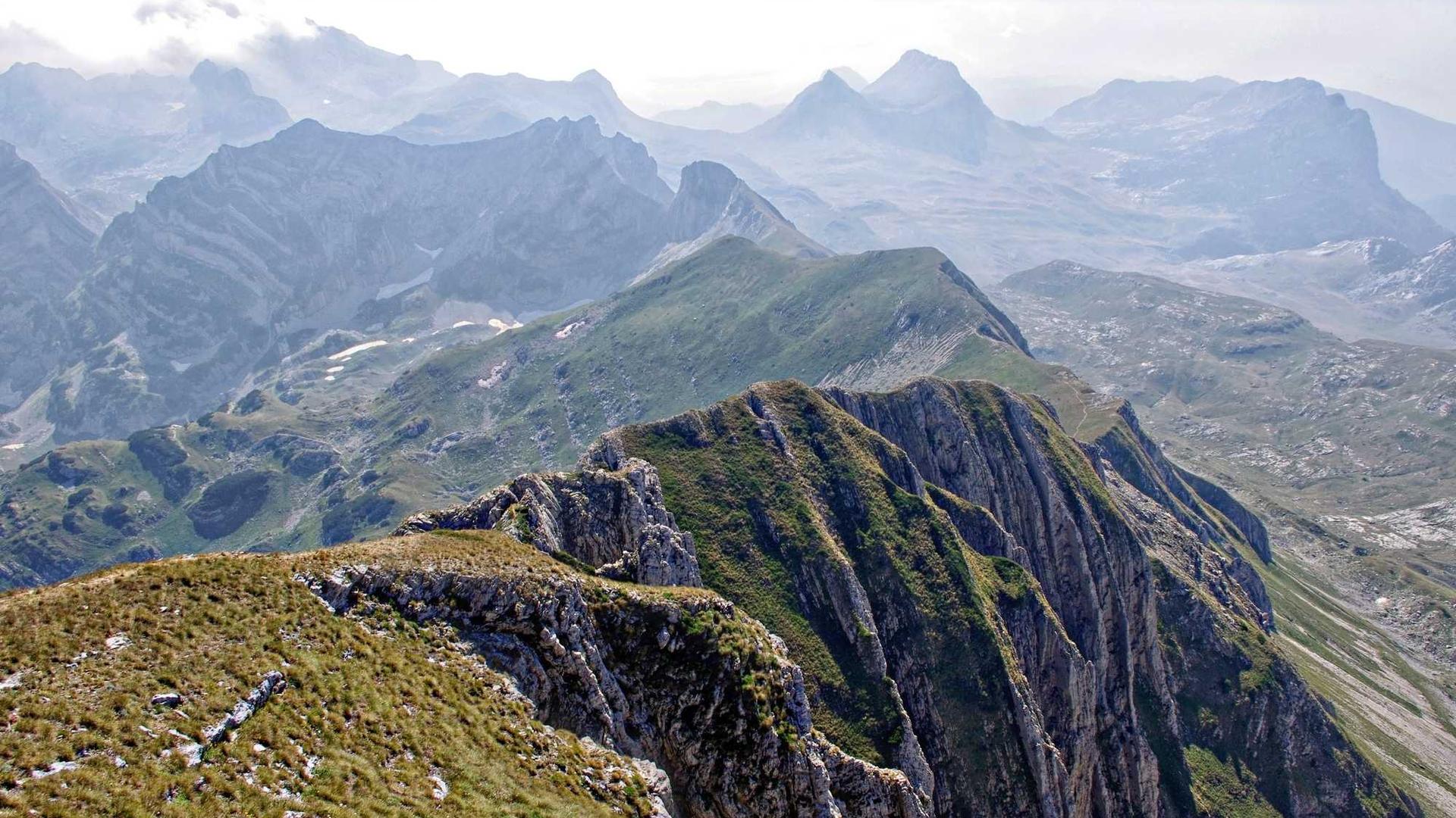 Random image from Lorem Picsum