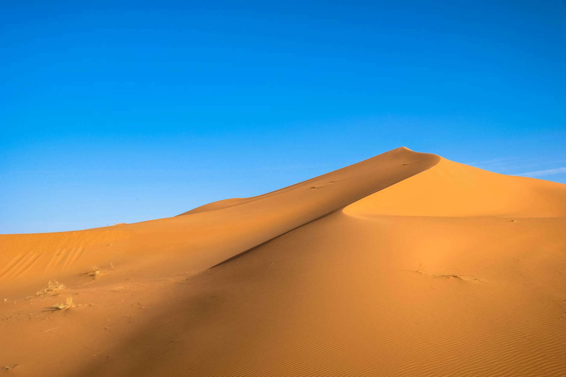 A breathtaking view of golden sand dunes contrasted against a vibrant blue sky in a desert landscape.