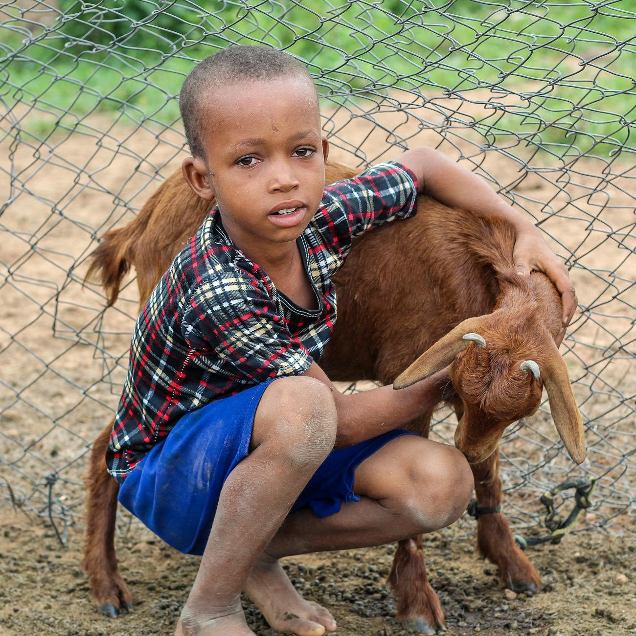 A young boy affectionately hugging a baby goat on a farm, showcasing friendship and rural life.