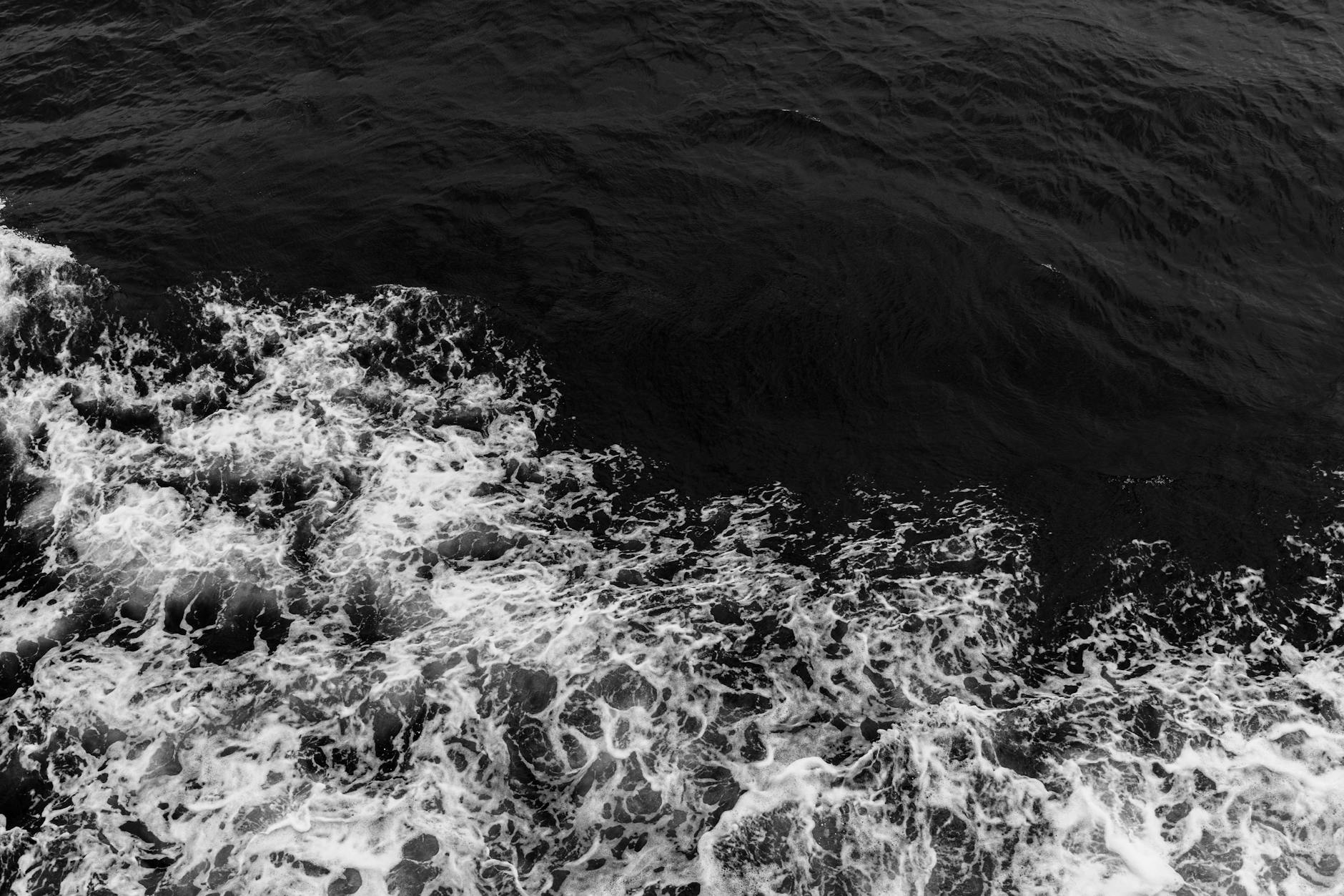 Dynamic black and white image of ocean waves with frothy textures.