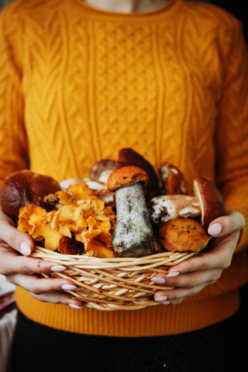 Cozy autumn scene with diverse mushrooms in a woven basket, held by a woman in a warm sweater.