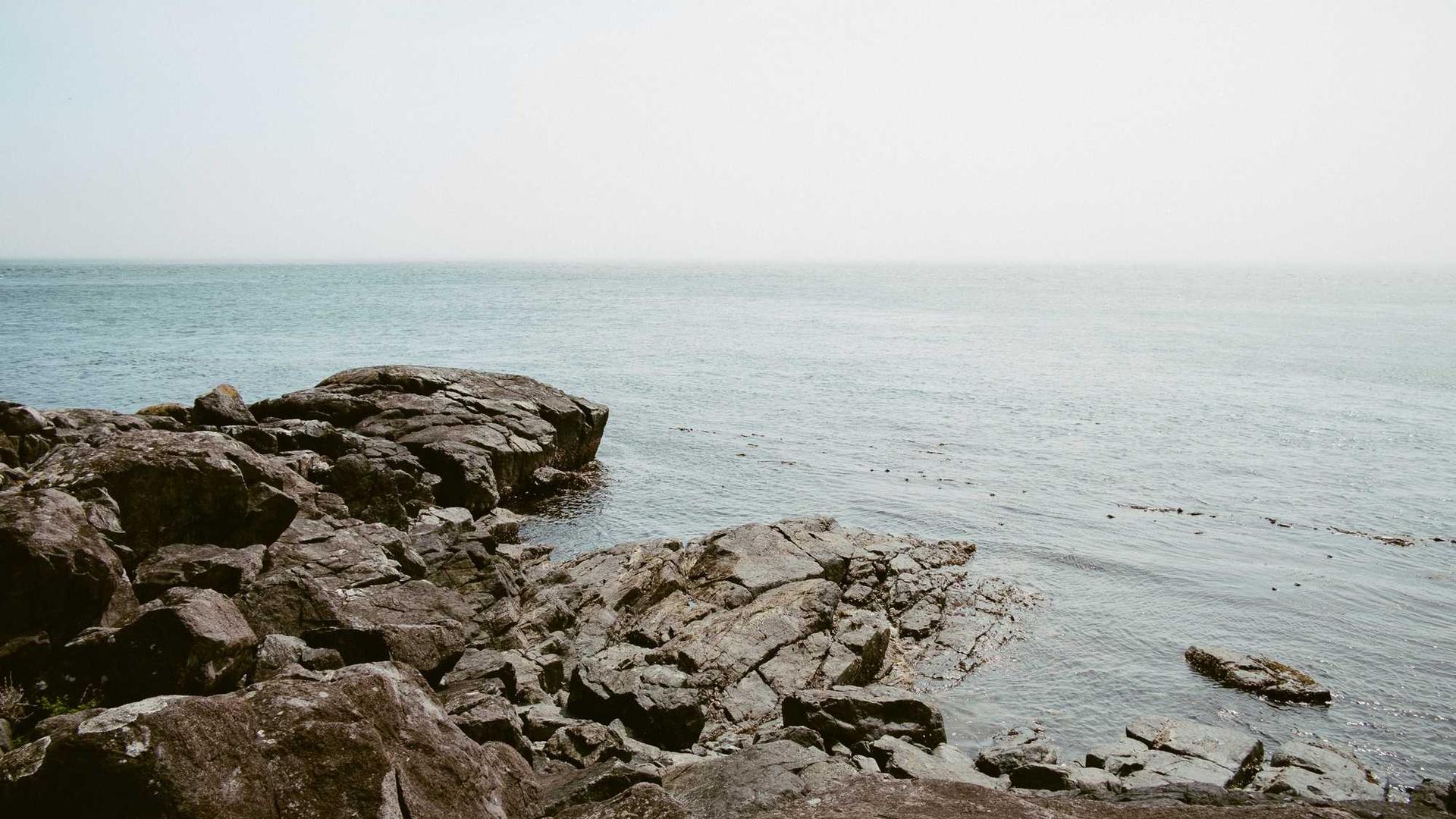 Random image from Lorem Picsum