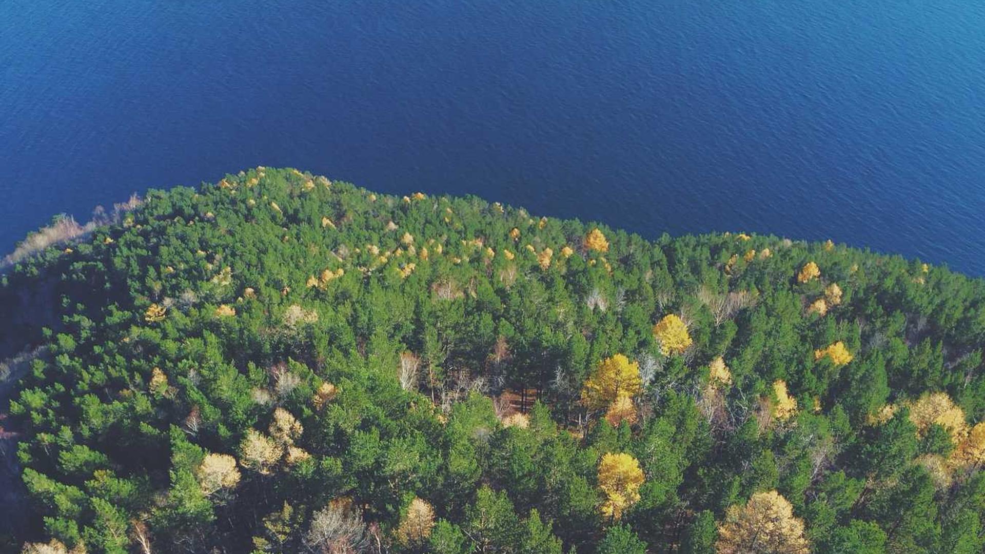 Random image from Lorem Picsum