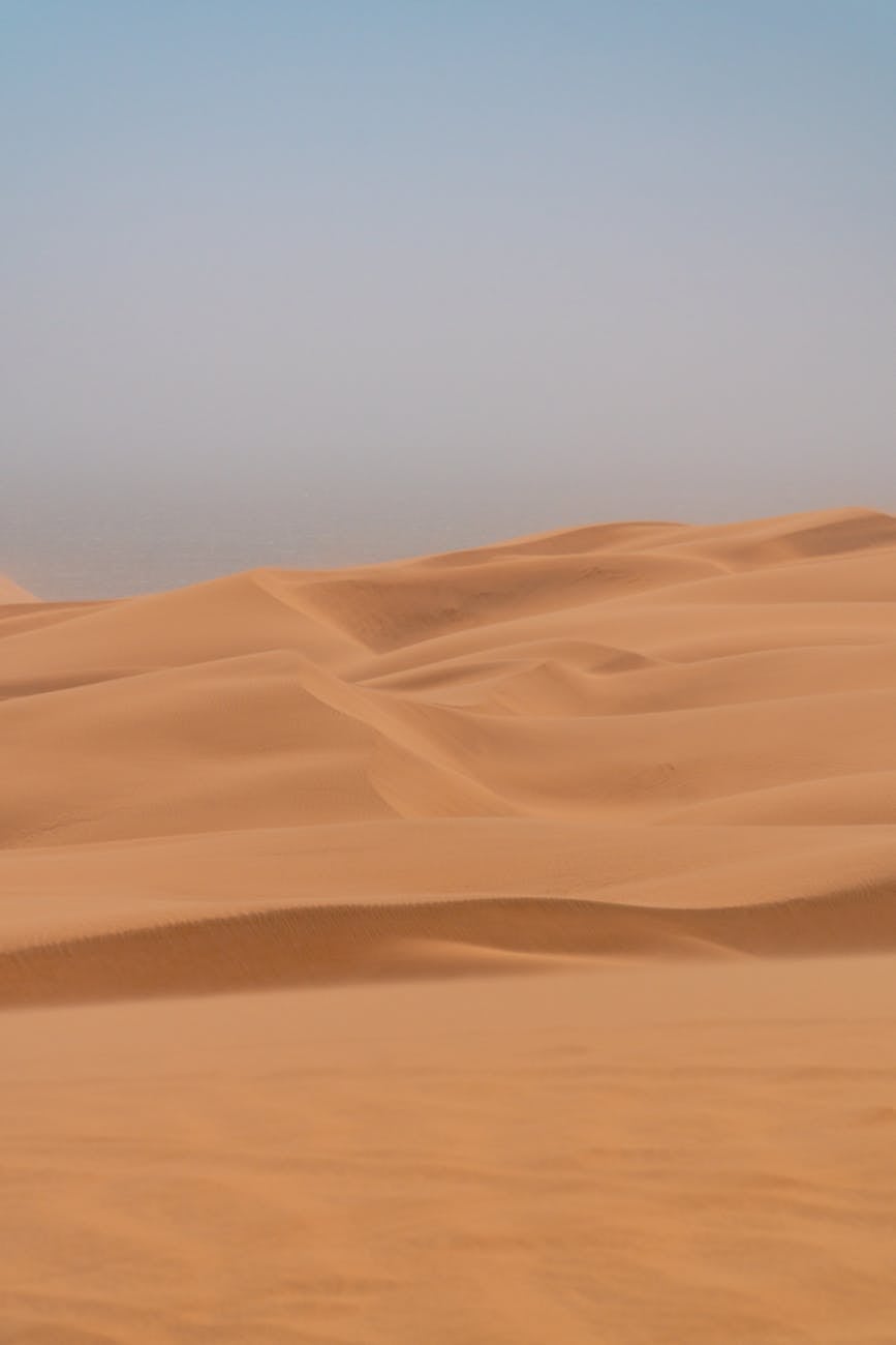 Captivating view of pristine sand dunes stretching under a clear blue sky.