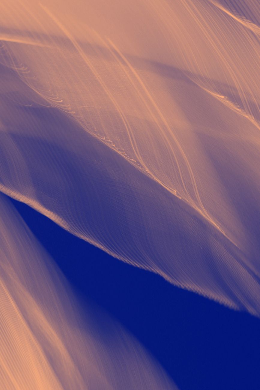 Dynamic abstract motion with flowing orange and blue light patterns.
