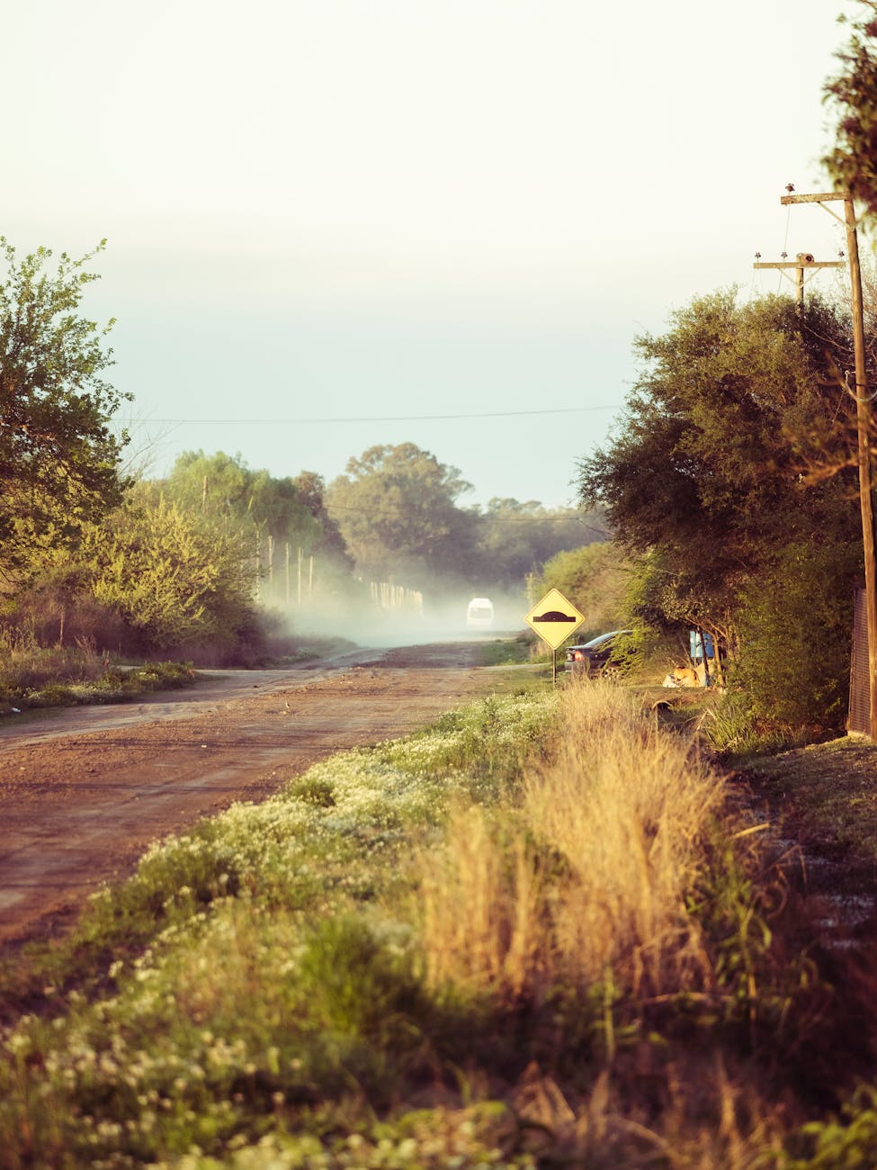 A tranquil dirt road scene with trees and dusty path, ideal for nature-themed backdrops.