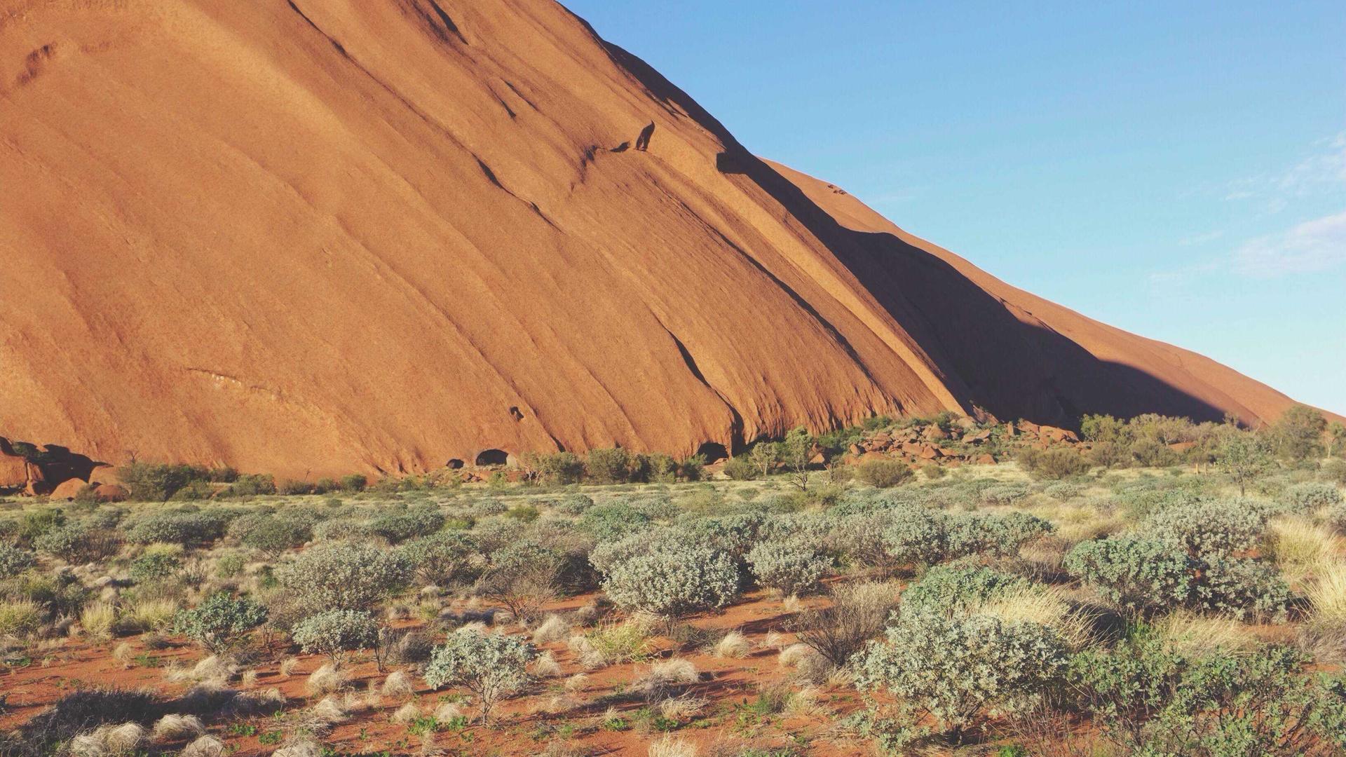 Random image from Lorem Picsum