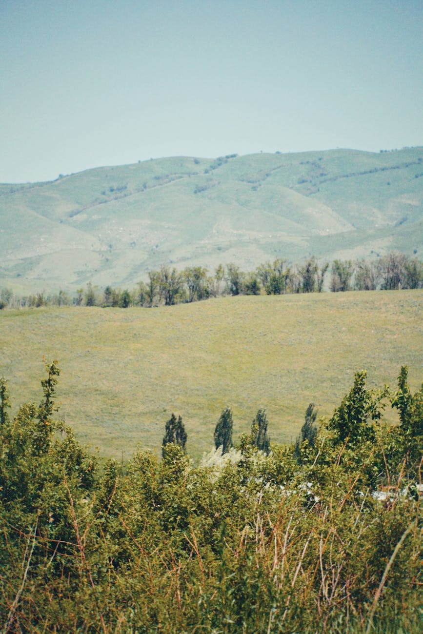 Explore the serene green hills and countryside of Talgar, Almaty Province, Kazakhstan.