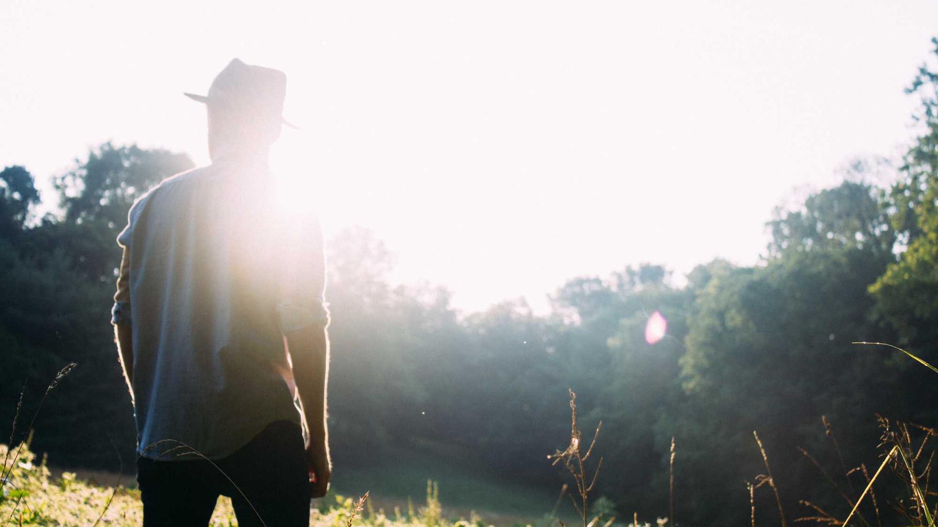 Random image from Lorem Picsum