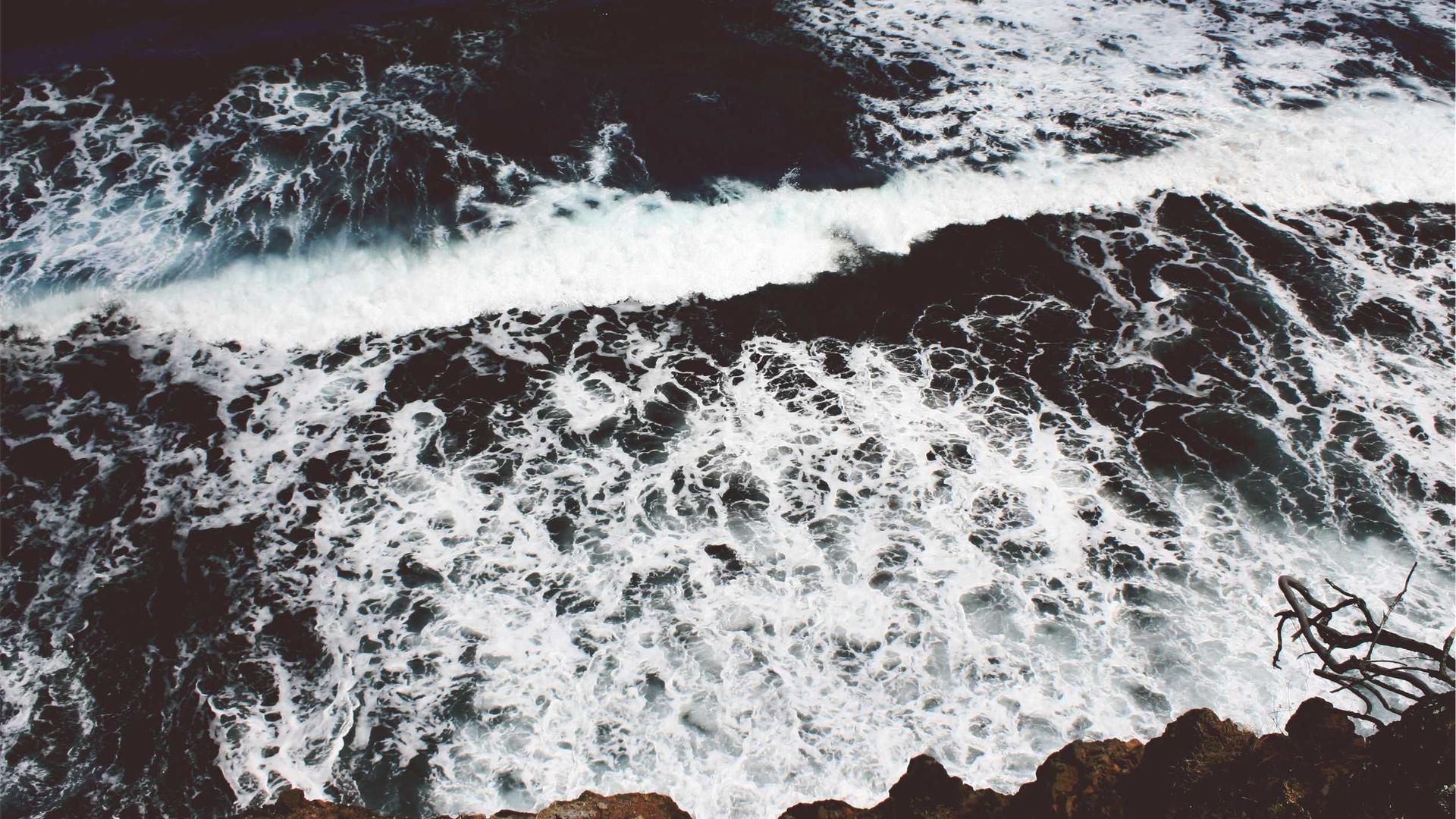 Random image from Lorem Picsum