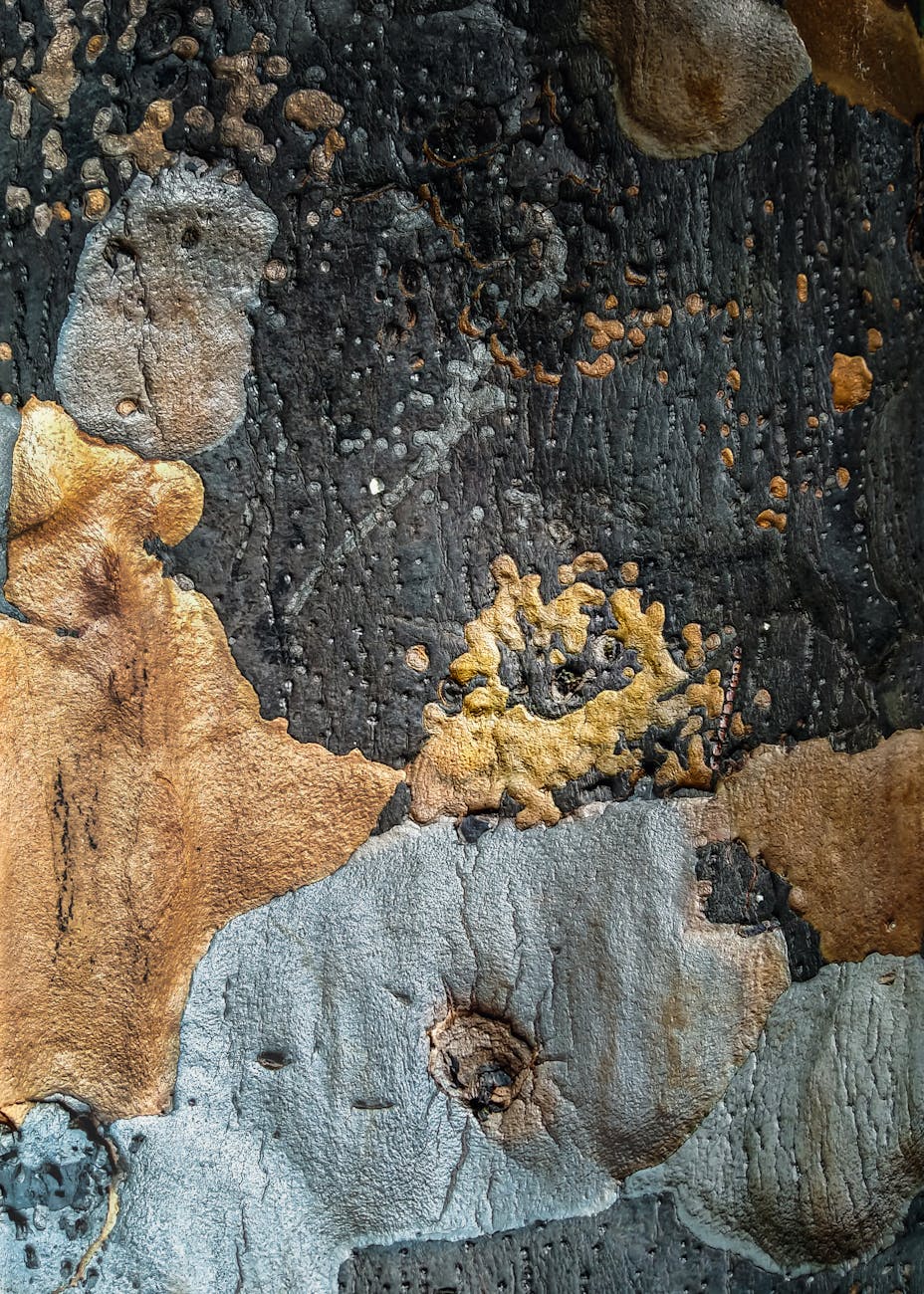 Close-up of an abstract, textured rock surface with varied colors and patterns, creating a striking visual.
