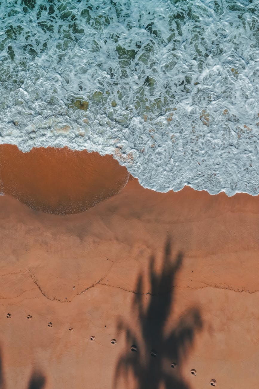 Stunning aerial shot of beach waves crashing on brown sand with shadow of palm tree.