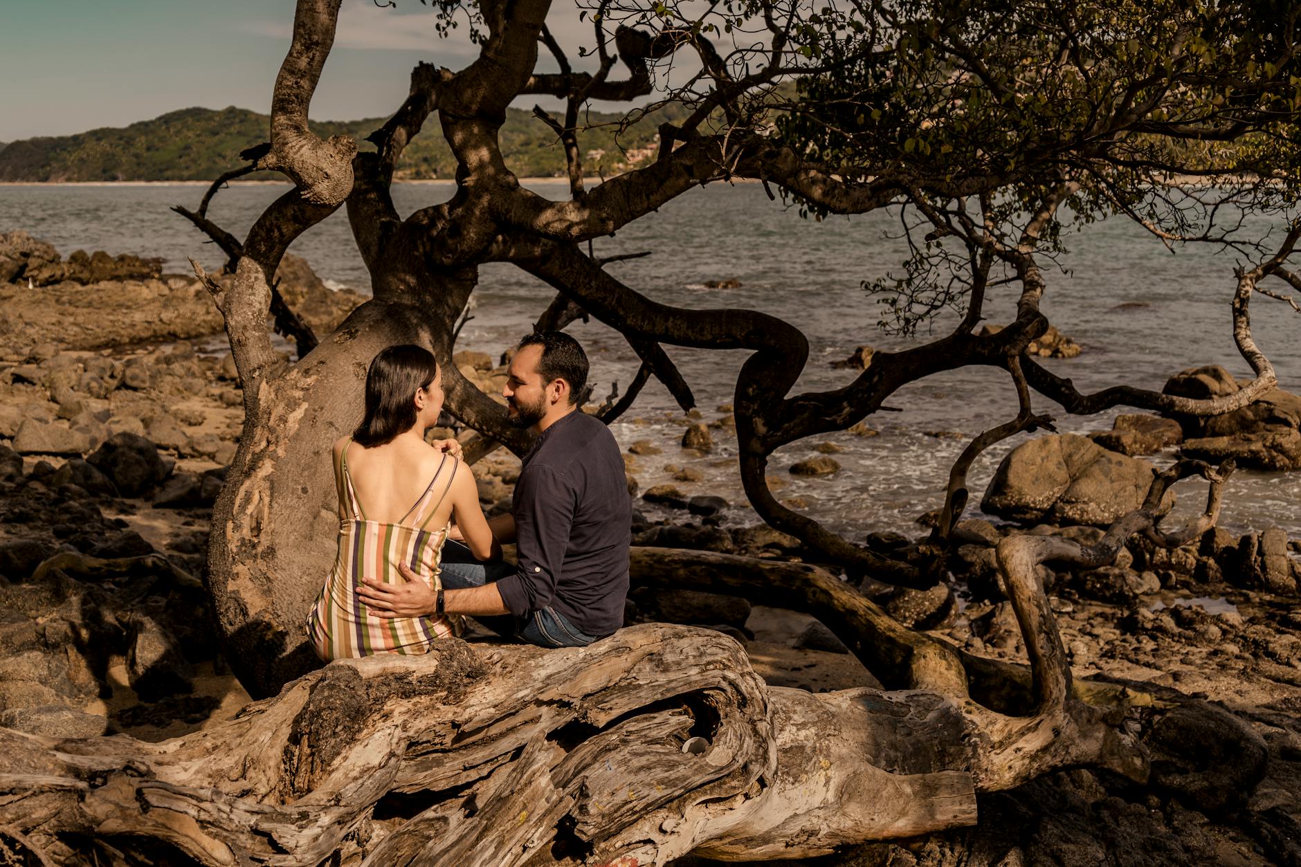 A couple embraces while seated on driftwood, surrounded by a rocky beach view under a tree.