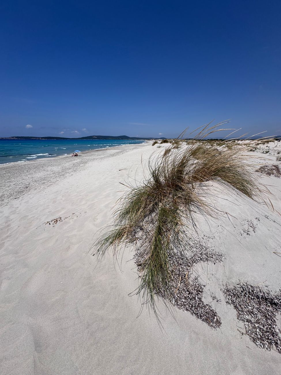 A tranquil Sardinian beach with white sand and coastal grass under a clear blue sky.
