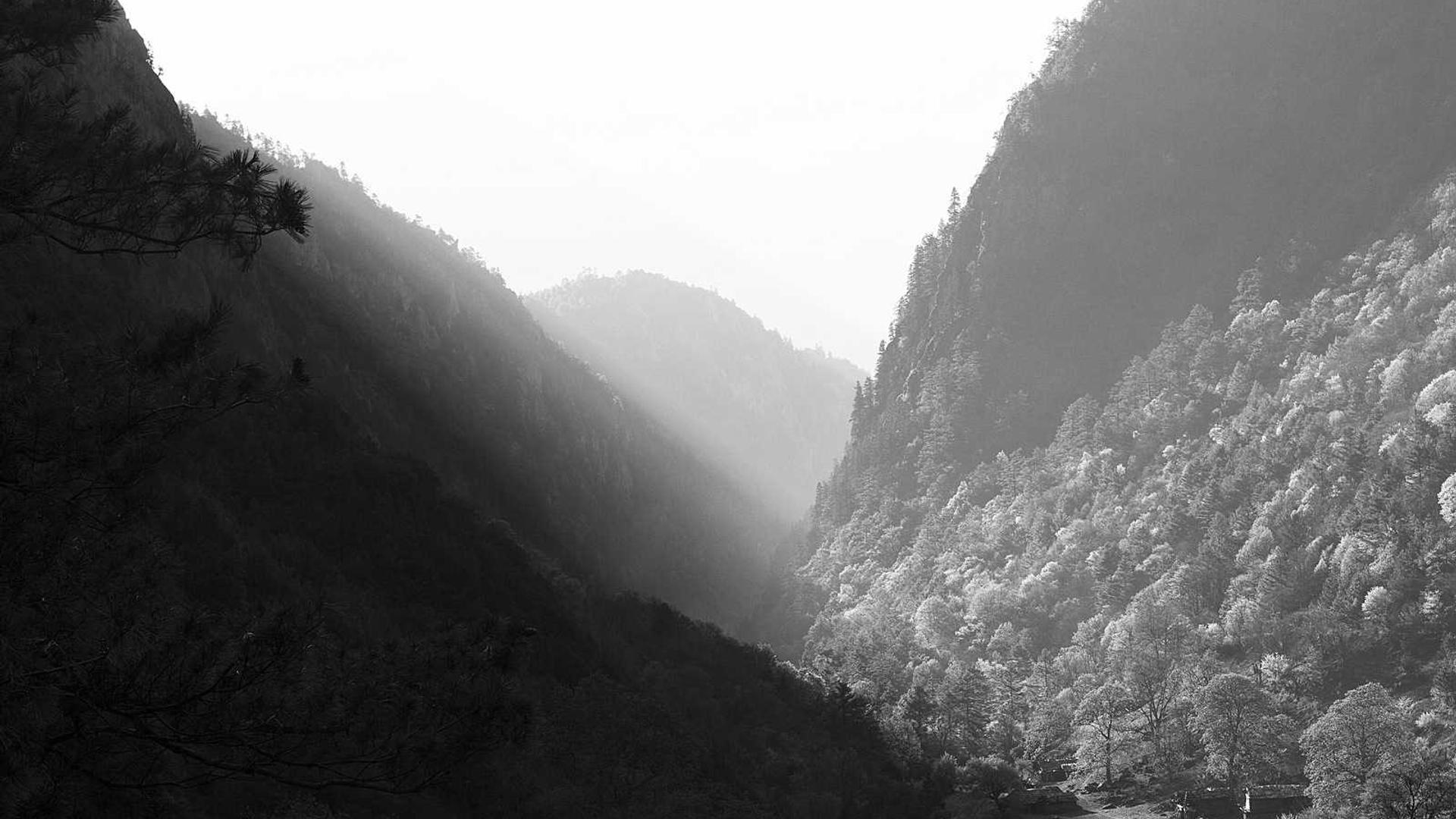 Random image from Lorem Picsum