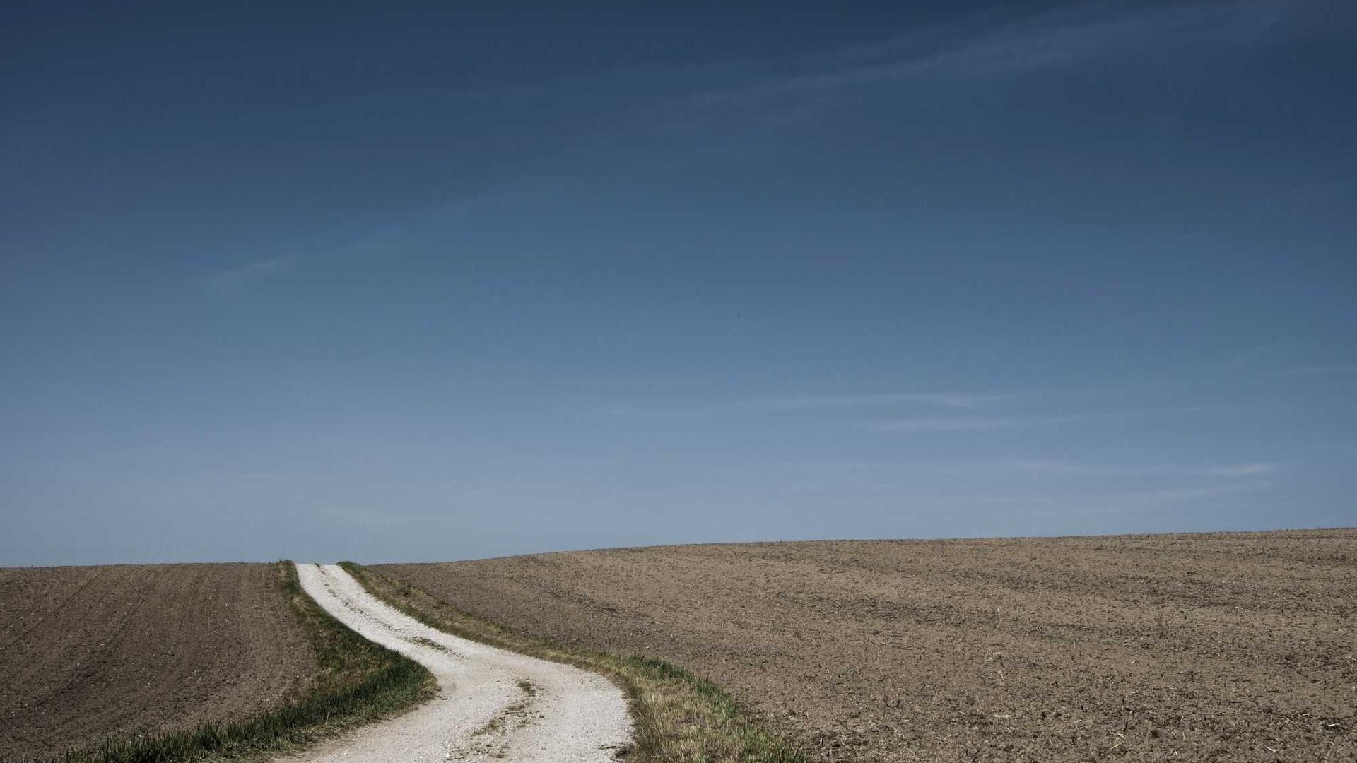 Random image from Lorem Picsum