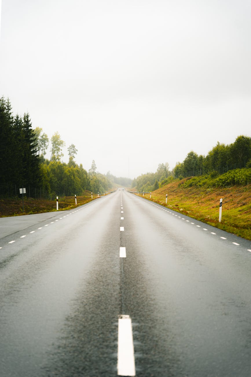 A tranquil, empty highway stretches into the distance through lush green forests, photographed in daylight.