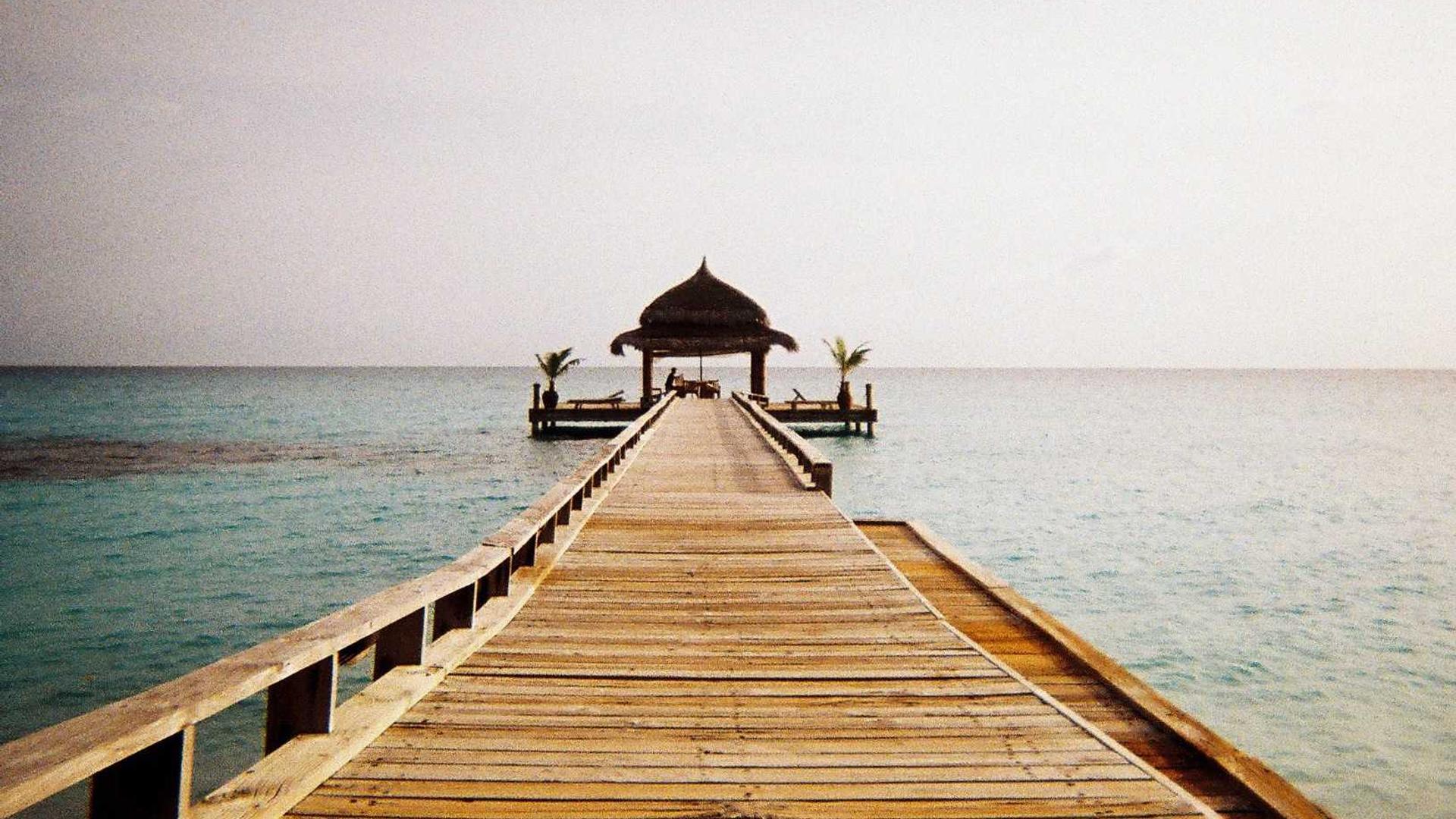 Random image from Lorem Picsum