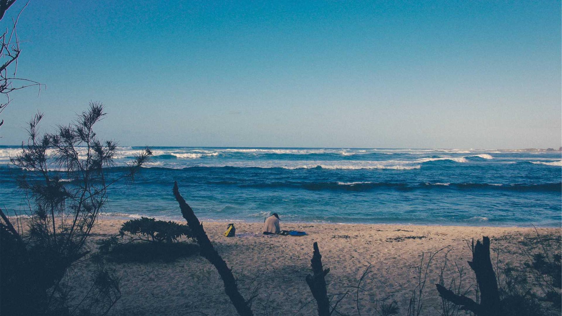 Random image from Lorem Picsum