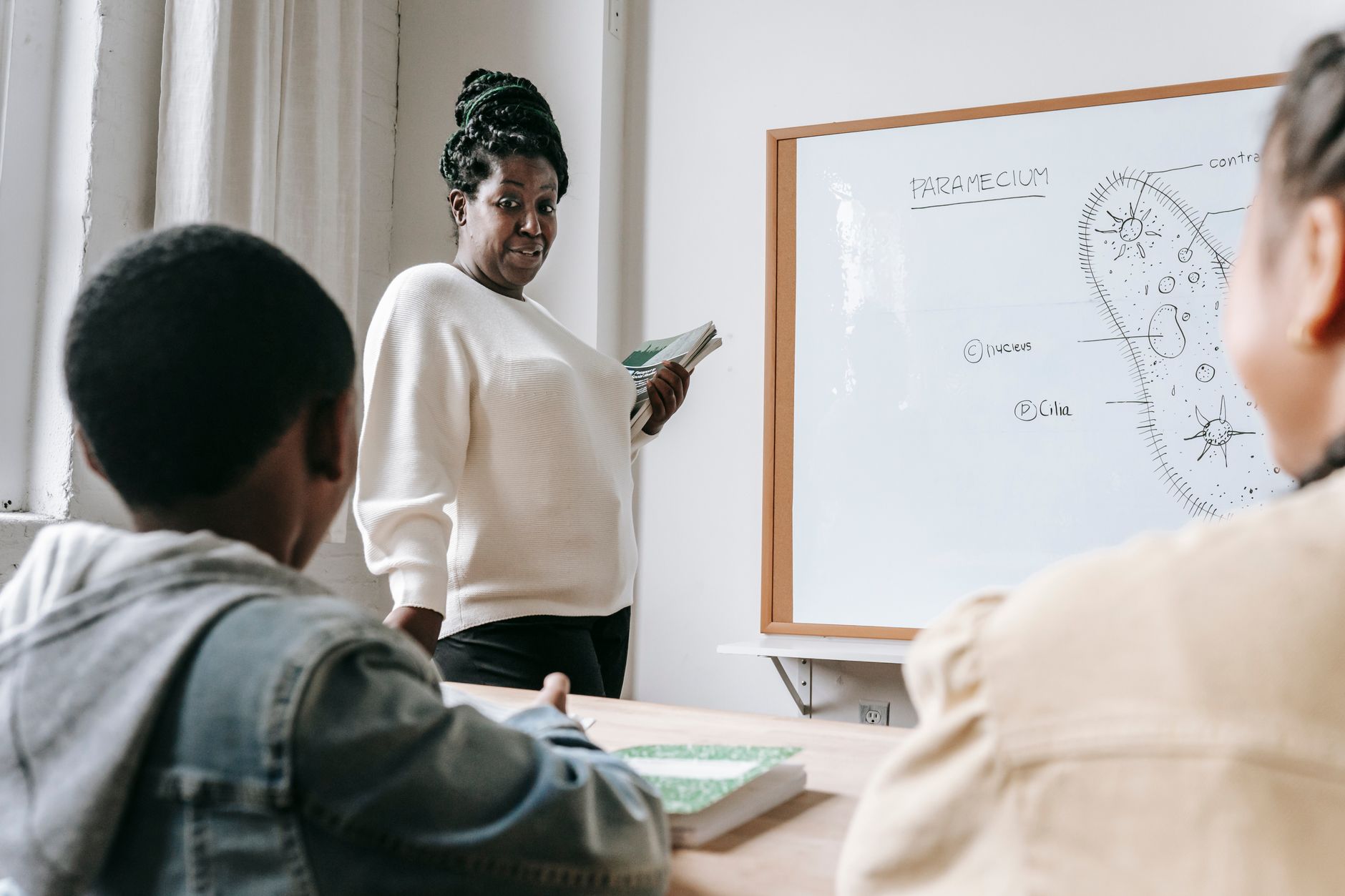 African American female teacher standing near whiteboard and explaining scheme to pupils during lesson in school