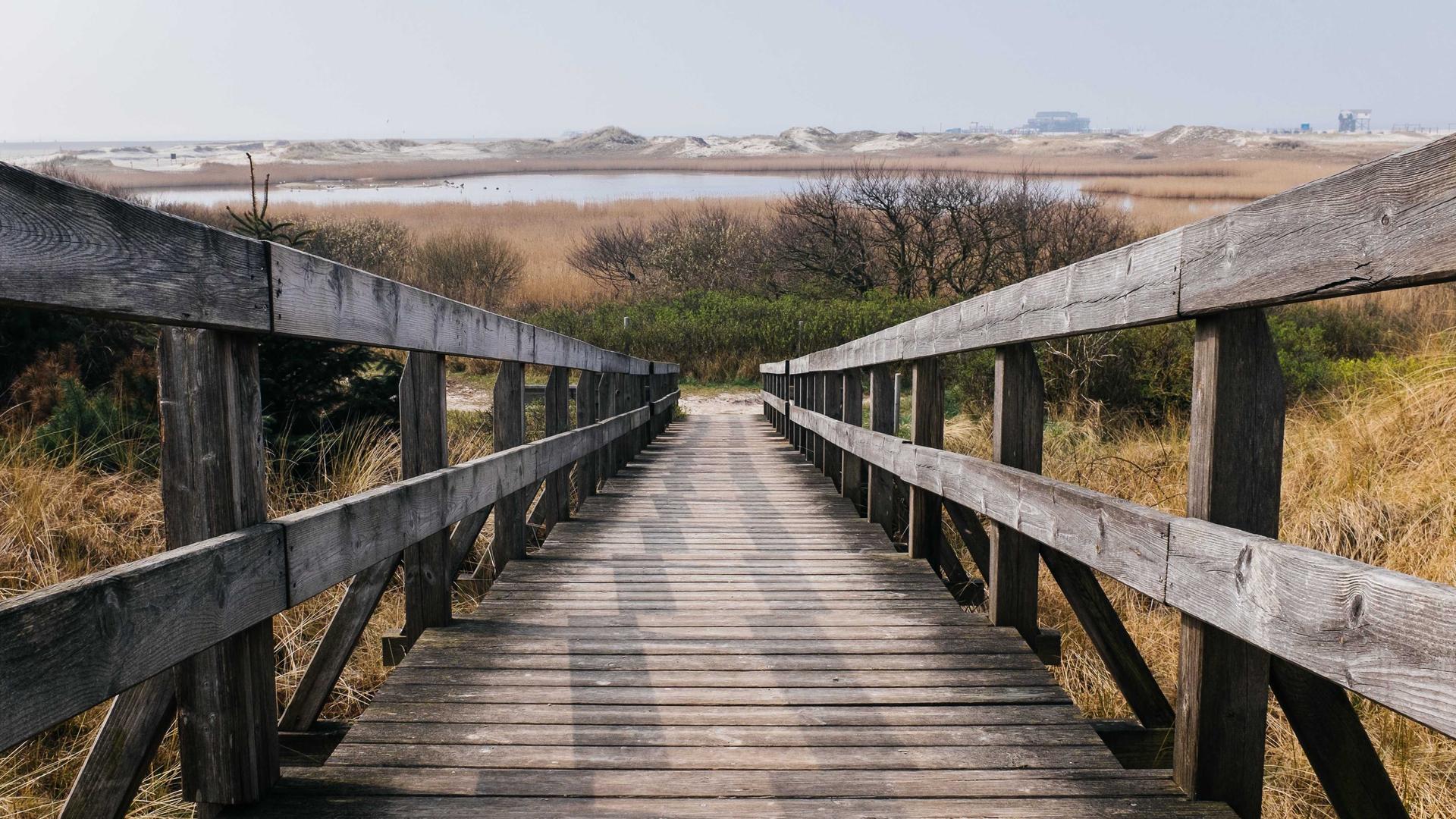 Random image from Lorem Picsum