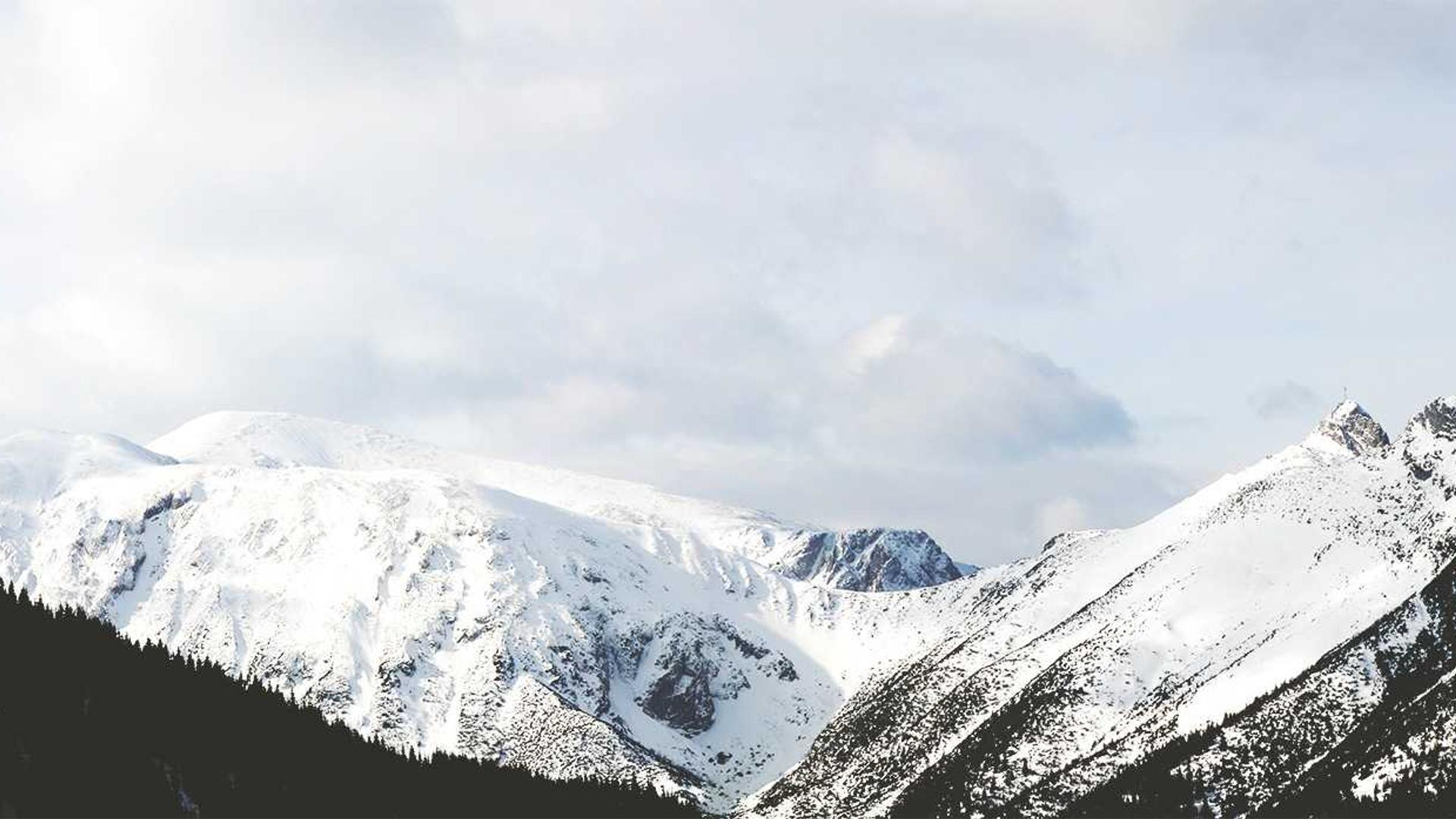 Random image from Lorem Picsum