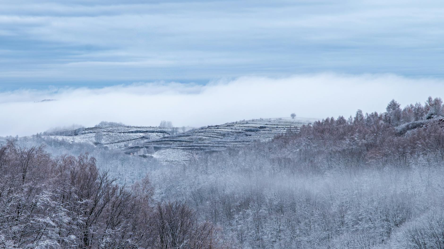 A tranquil winter scene featuring mist-covered hills and snowy trees under a soft blue sky.