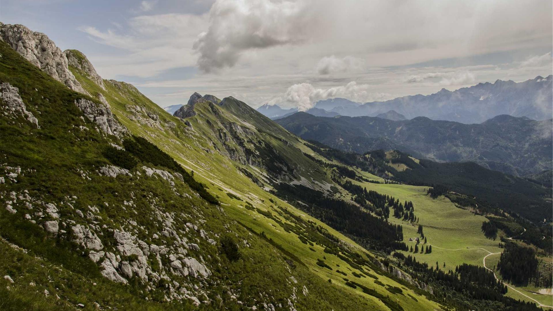 Random image from Lorem Picsum