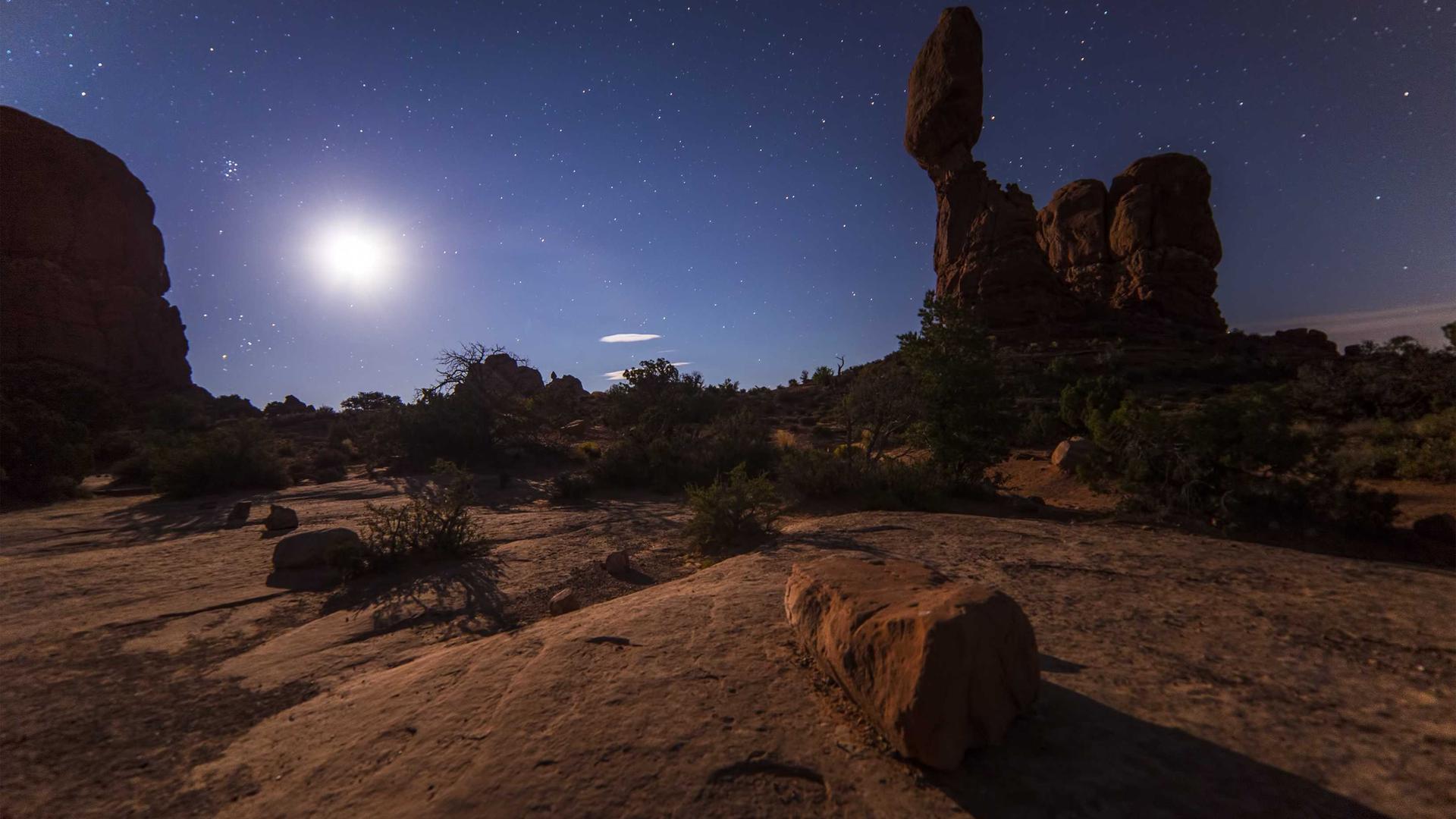 Random image from Lorem Picsum