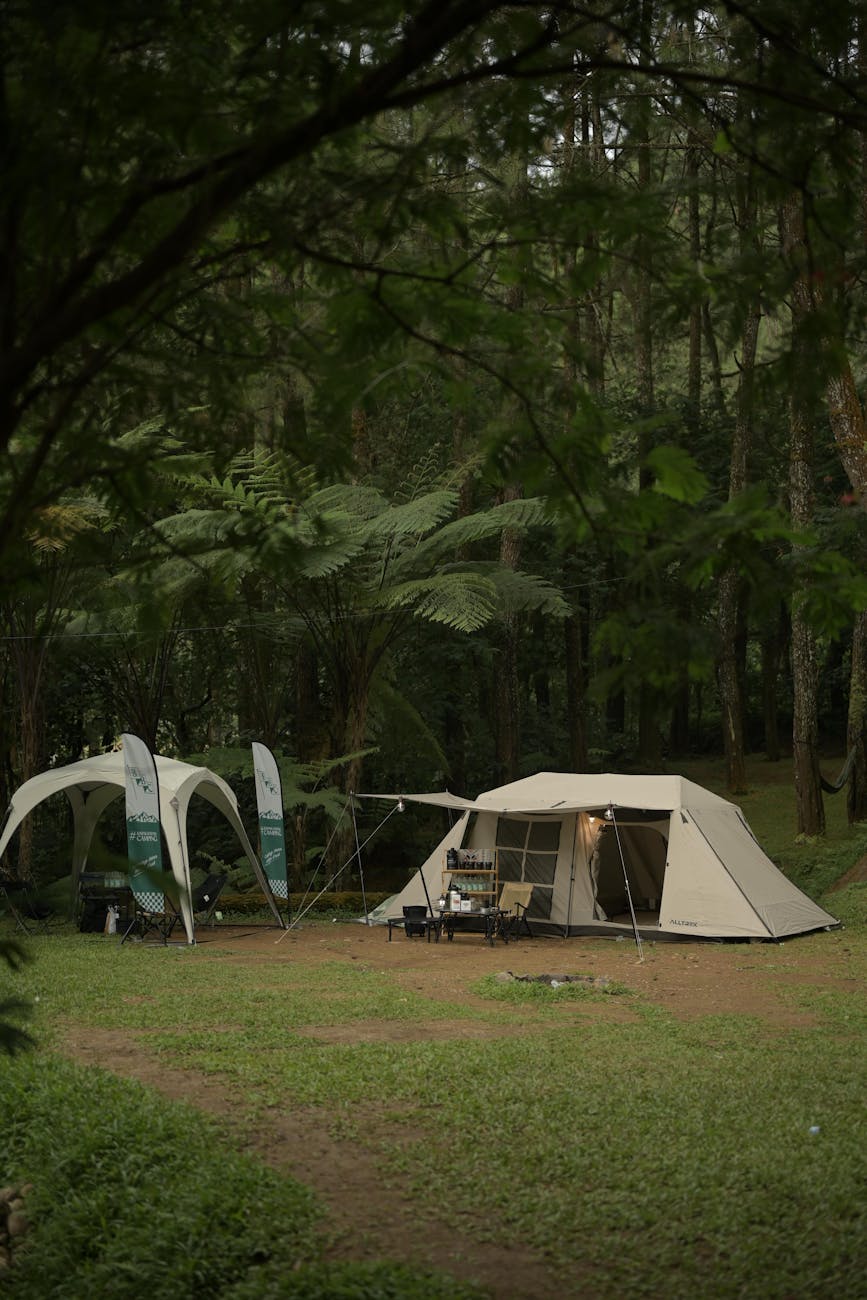 Cozy tent nestled in lush West Java forest, perfect for outdoor adventure.
