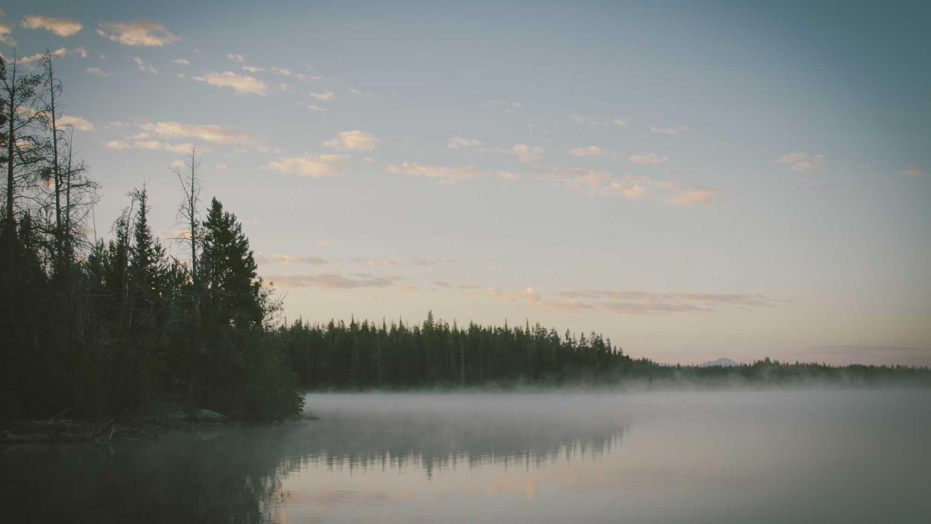 Random image from Lorem Picsum