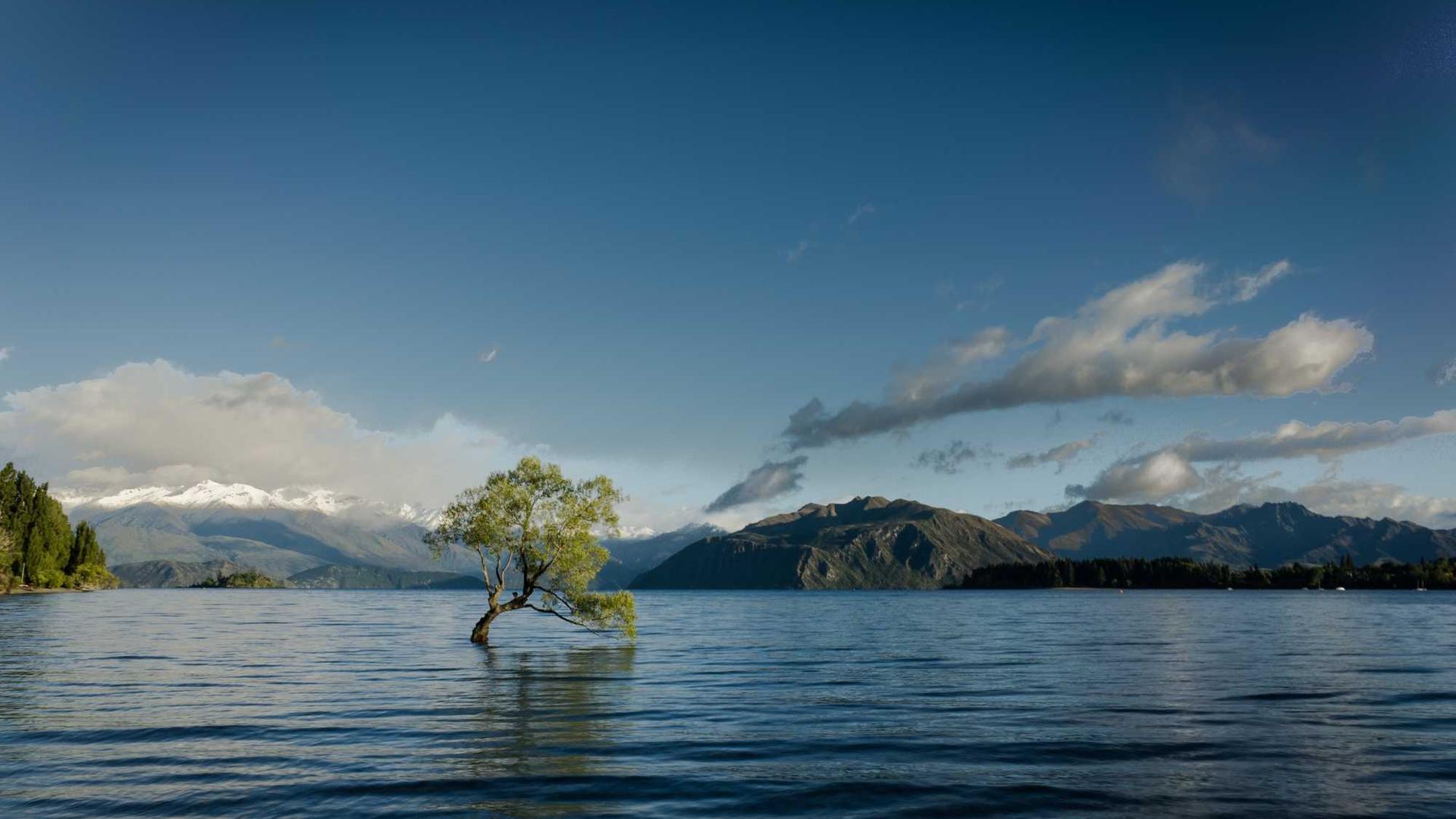 Random image from Lorem Picsum