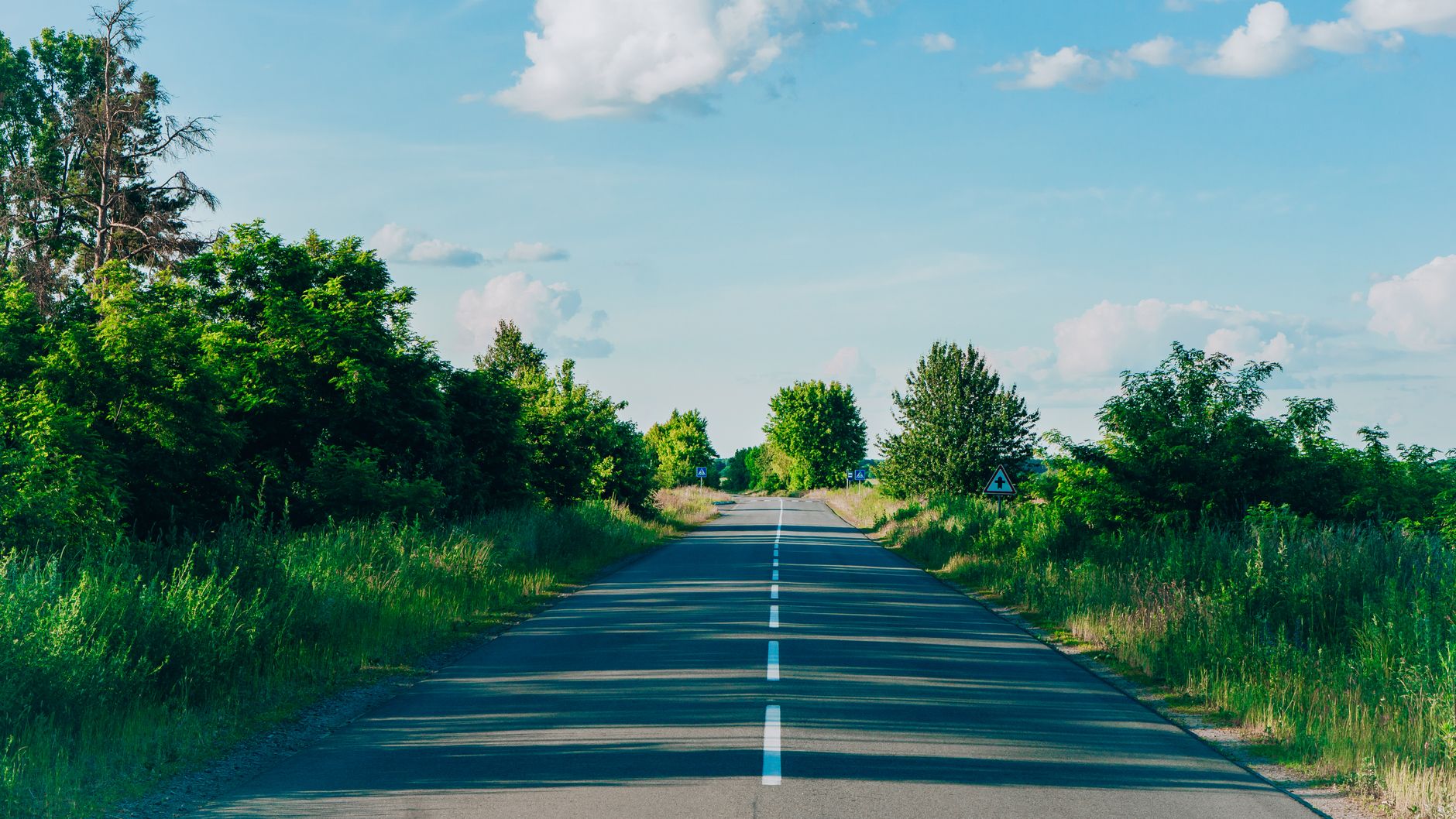 Peaceful countryside road lined with vibrant green trees under a blue sky.