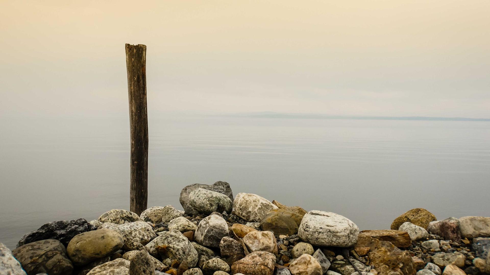 Random image from Lorem Picsum