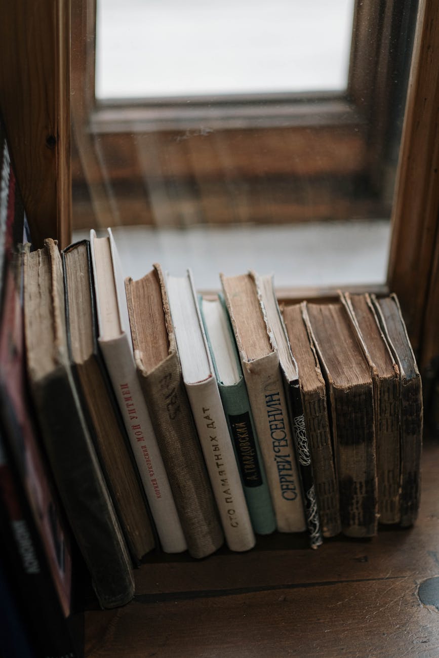 A collection of vintage books neatly arranged on a wooden shelf by a window with a soft, natural light.