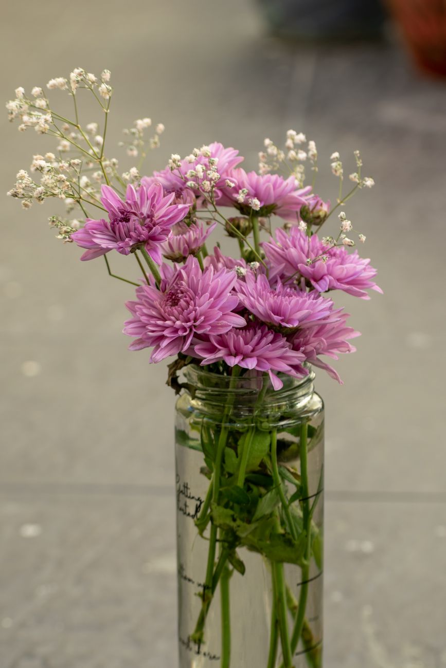Elegant arrangement of purple chrysanthemums and baby's breath in a glass vase, perfect for home decor.