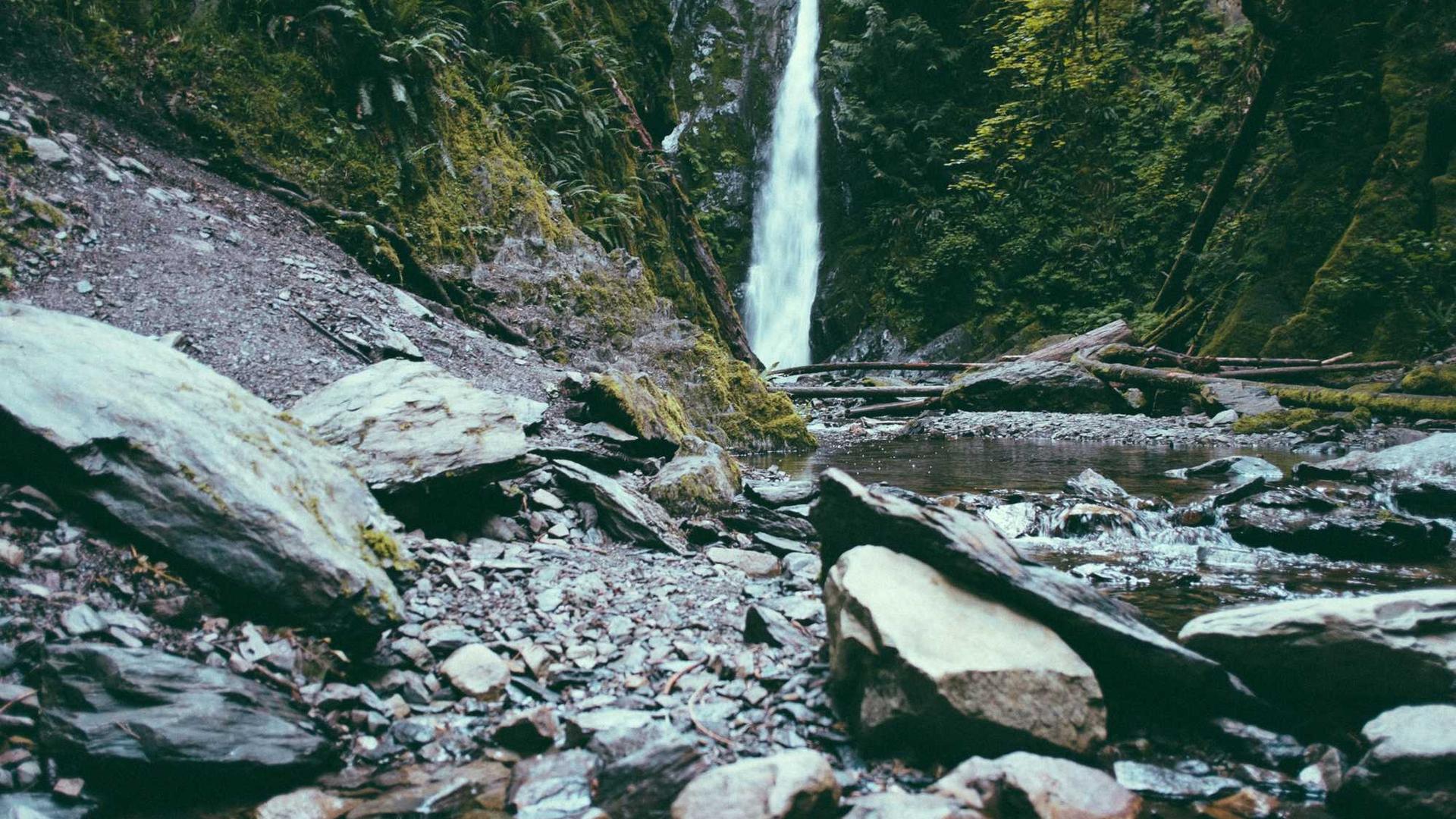 Random image from Lorem Picsum