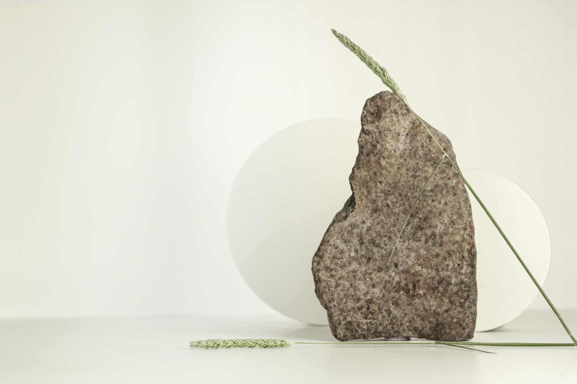 A minimalist composition featuring a stone and grass blades against a neutral background.