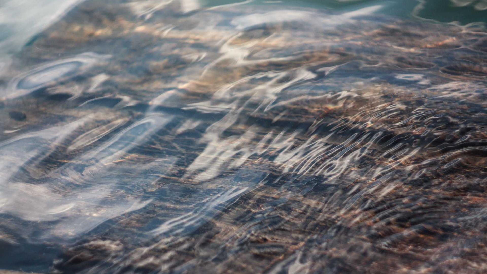 Random image from Lorem Picsum